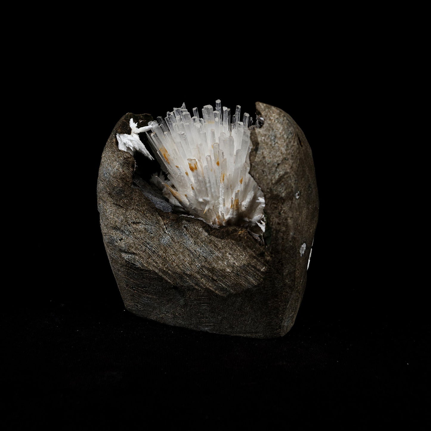 Natrolite Sprays Inside Chalcedony Geode Natural Mineral Specimen # B… https://www.superbminerals.us/products/natrolite-sprays-inside-chalcedony-geode-natural-mineral-specimen-b-5160 Features: Aesthetically situated in completely hollow basaltic vug, a diverging spray of gemmy, lustrous, Natrolite crystals to 3.5 inch in length emanate from a druse of sugary white Chalcedony. Although a few Natrolite crystals do span the vug and are attached to the ceiling, the majority are visibly terminated.