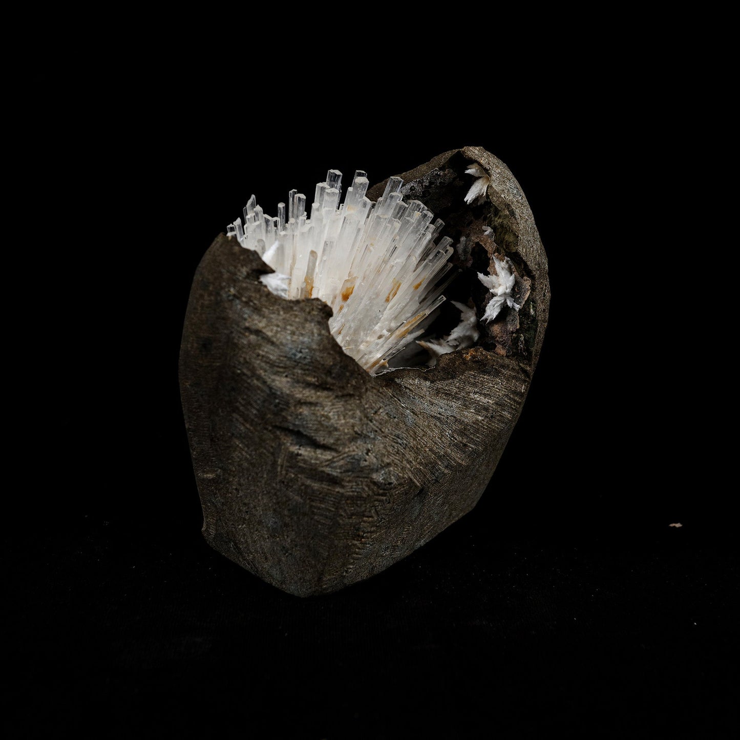 Natrolite Sprays Inside Chalcedony Geode Natural Mineral Specimen # B… https://www.superbminerals.us/products/natrolite-sprays-inside-chalcedony-geode-natural-mineral-specimen-b-5160 Features: Aesthetically situated in completely hollow basaltic vug, a diverging spray of gemmy, lustrous, Natrolite crystals to 3.5 inch in length emanate from a druse of sugary white Chalcedony. Although a few Natrolite crystals do span the vug and are attached to the ceiling, the majority are visibly terminated.