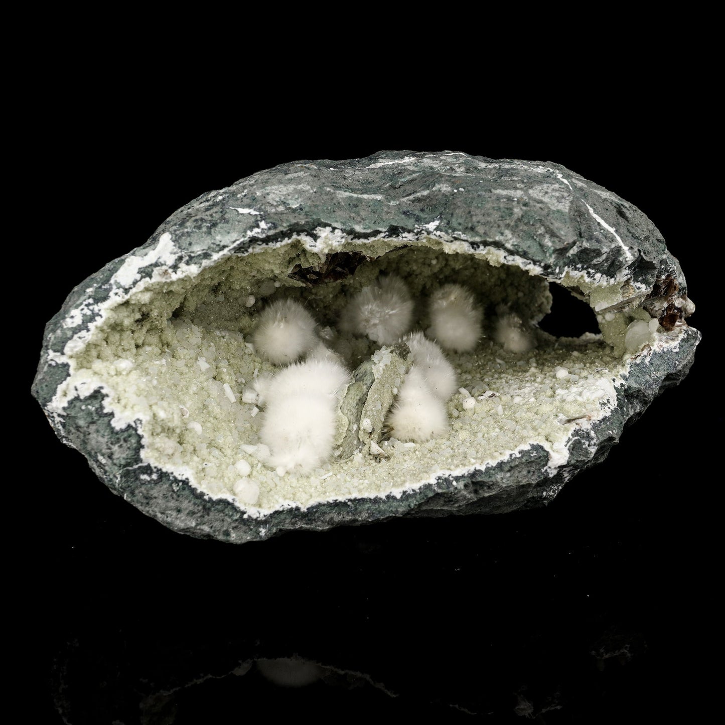 Okenite Big Puffballs Inside Chalcedony Geode Natural Mineral Specimen # B 5694 Okenite Superb Minerals 