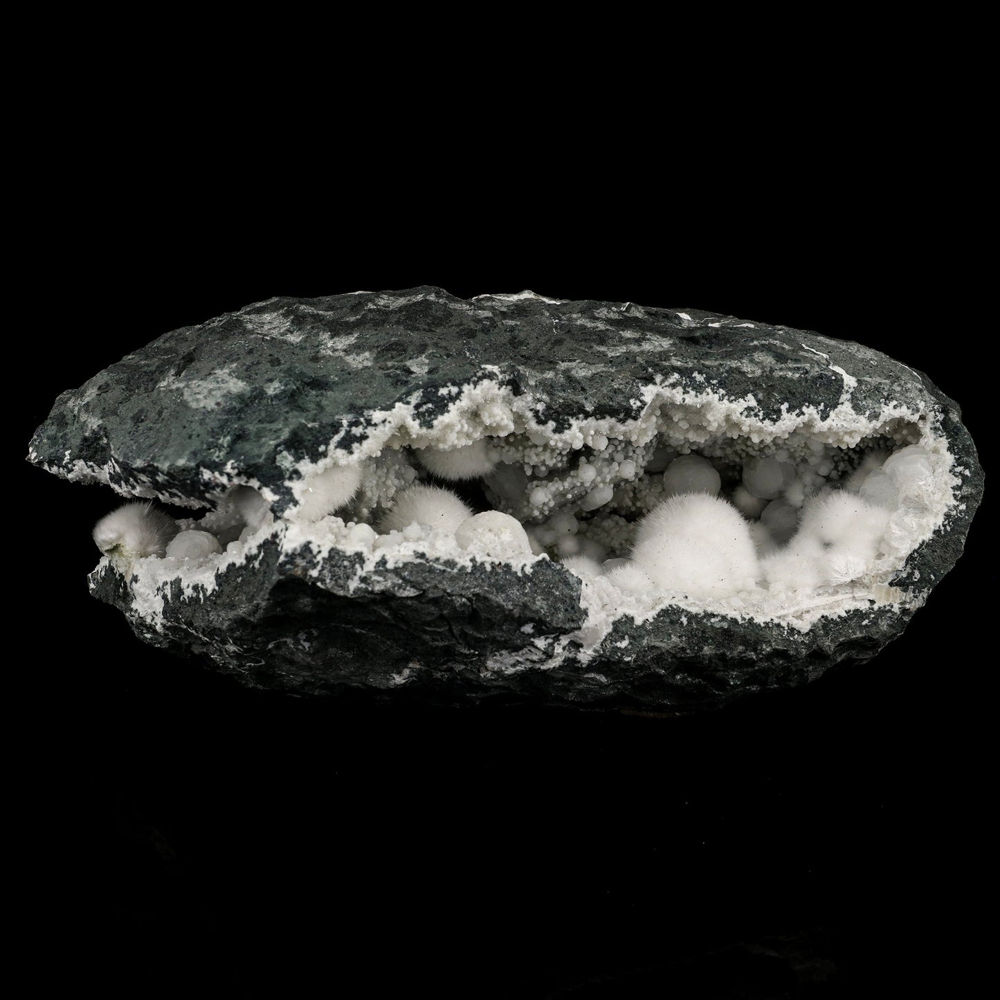 Okenite Big Puffballs Inside Chalcedony Geode Natural Mineral Specimen # B 5713 Okenite Superb Minerals 