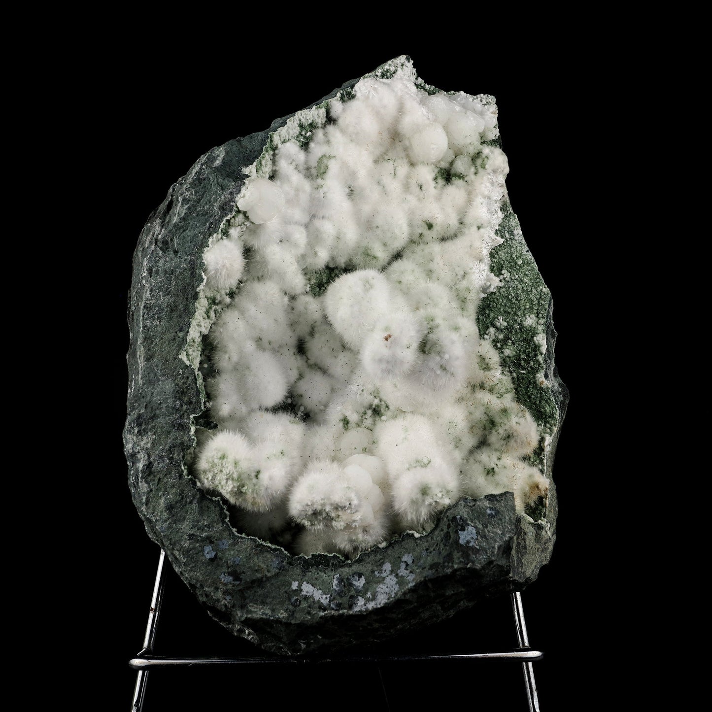 Okenite Big Puffballs Inside Chalcedony Geode Natural Mineral Specimen # B 6169 Okenite Superb Minerals 