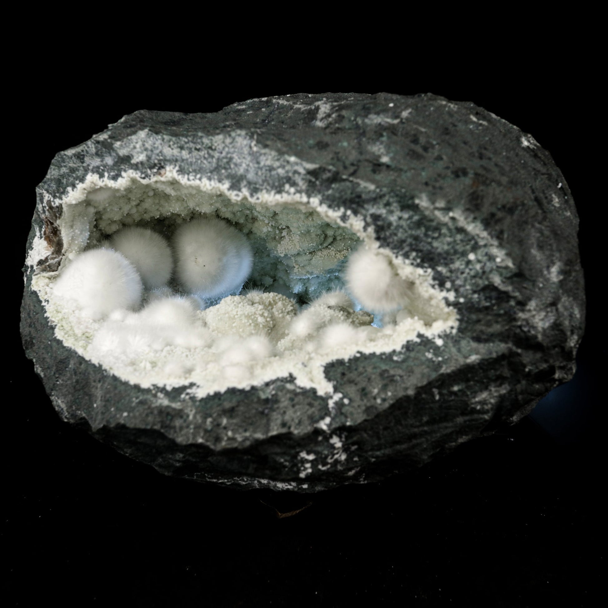 Okenite Big Puffballs Inside Gyrolite Geode Natural Mineral Specimen # B 5872 Thomsonite Superb Minerals 