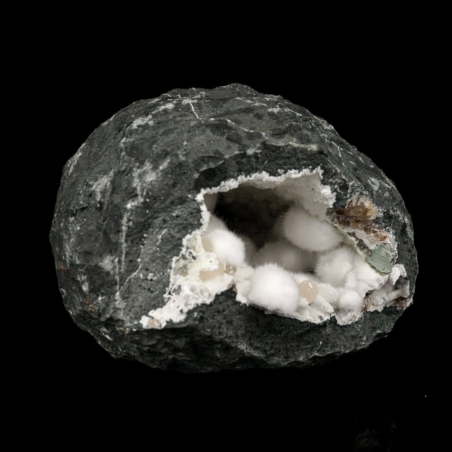 Okenite Big Puffballs Inside Gyrolite Geode Natural Mineral Specimen # B 6177 Okenite Superb Minerals 