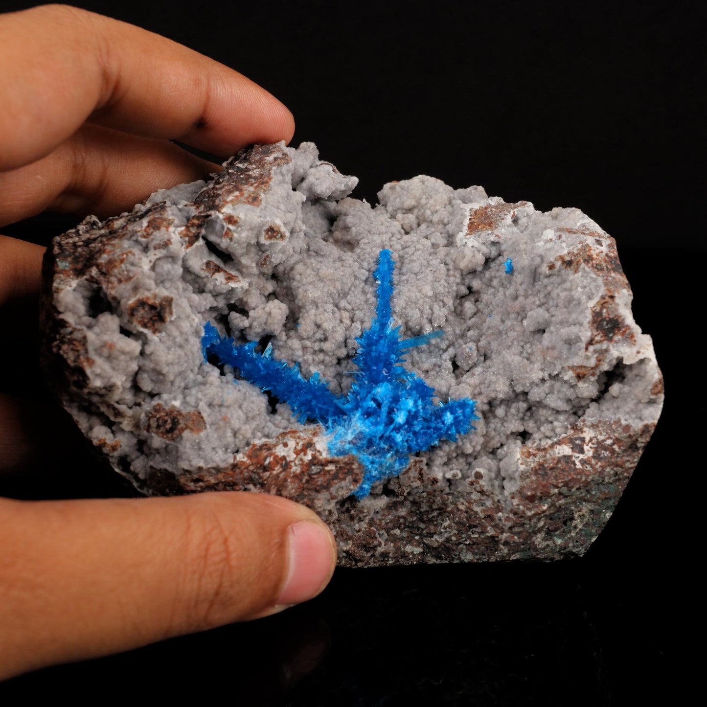 Pentagonite on Chalcedony Rare Find Natural Mineral Specimen # B 5762 pentagonite Superb Minerals