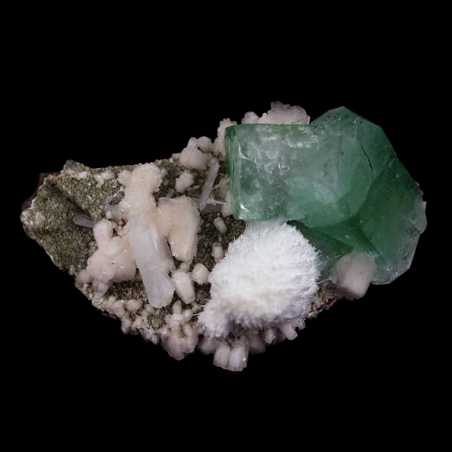 Pesudo Green Apophyllite with Mordenite Stilbite Natural Mineral Speci… https://www.superbminerals.us/products/pesudo-green-apophyllite-with-mordenite-stilbite-natural-mineral-specimen-b-4602 Features:The gemmy and glossy light mint-green apophyllite crystals on this extremely attractive specimen from Jalgaon are complemented with snow-white spikeballs of brittle mordenite needles. Atop the green, some of the apophyllite crystal terminations became colourless. This is a reasonably rare and exceptional