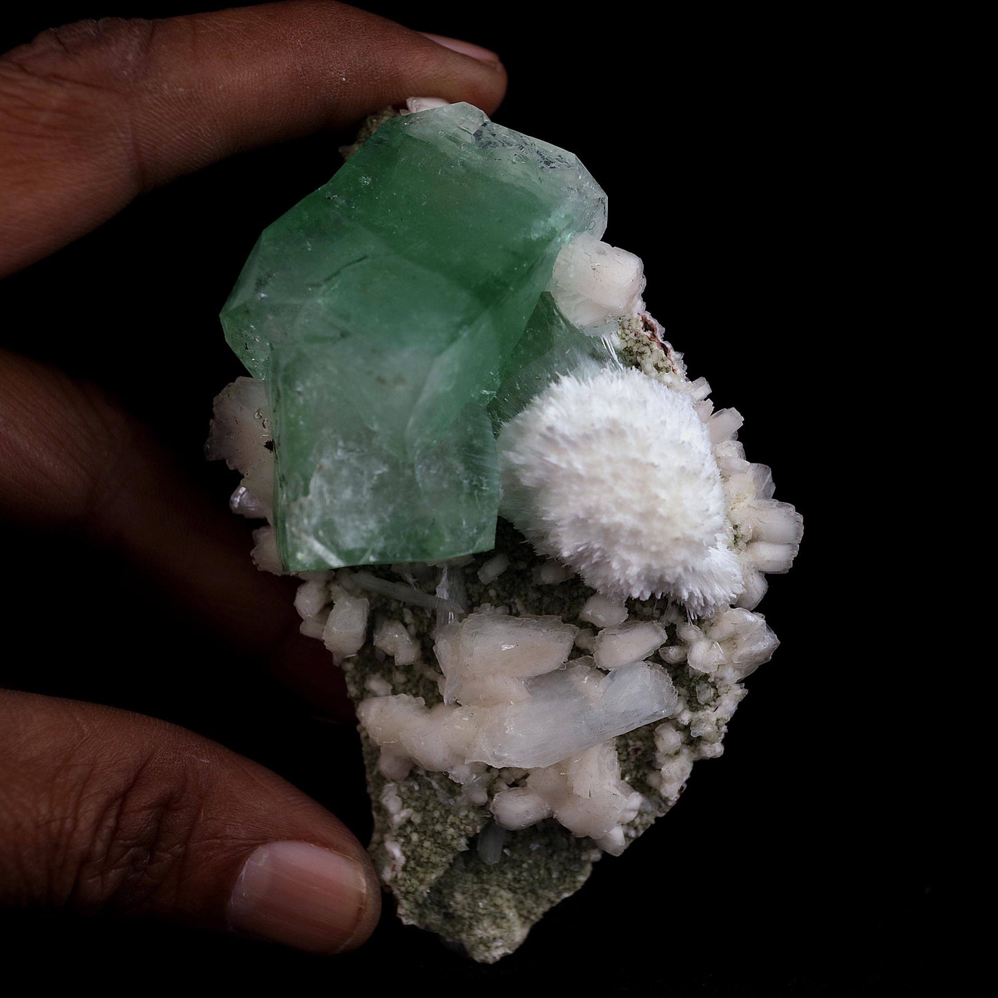 Pesudo Green Apophyllite with Mordenite Stilbite Natural Mineral Speci… https://www.superbminerals.us/products/pesudo-green-apophyllite-with-mordenite-stilbite-natural-mineral-specimen-b-4602 Features:The gemmy and glossy light mint-green apophyllite crystals on this extremely attractive specimen from Jalgaon are complemented with snow-white spikeballs of brittle mordenite needles. Atop the green, some of the apophyllite crystal terminations became colourless. This is a reasonably rare and exceptional