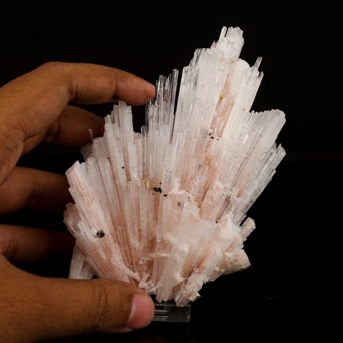Pink Scolecite Sprays Rare found Natural Mineral Specimen # B 6662 Scolecite Superb Minerals