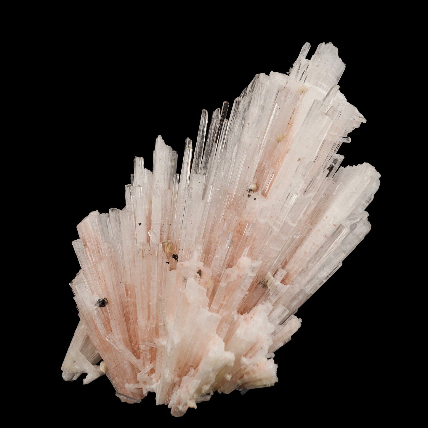 Pink Scolecite Sprays Rare found Natural Mineral Specimen # B 6662 Scolecite Superb Minerals