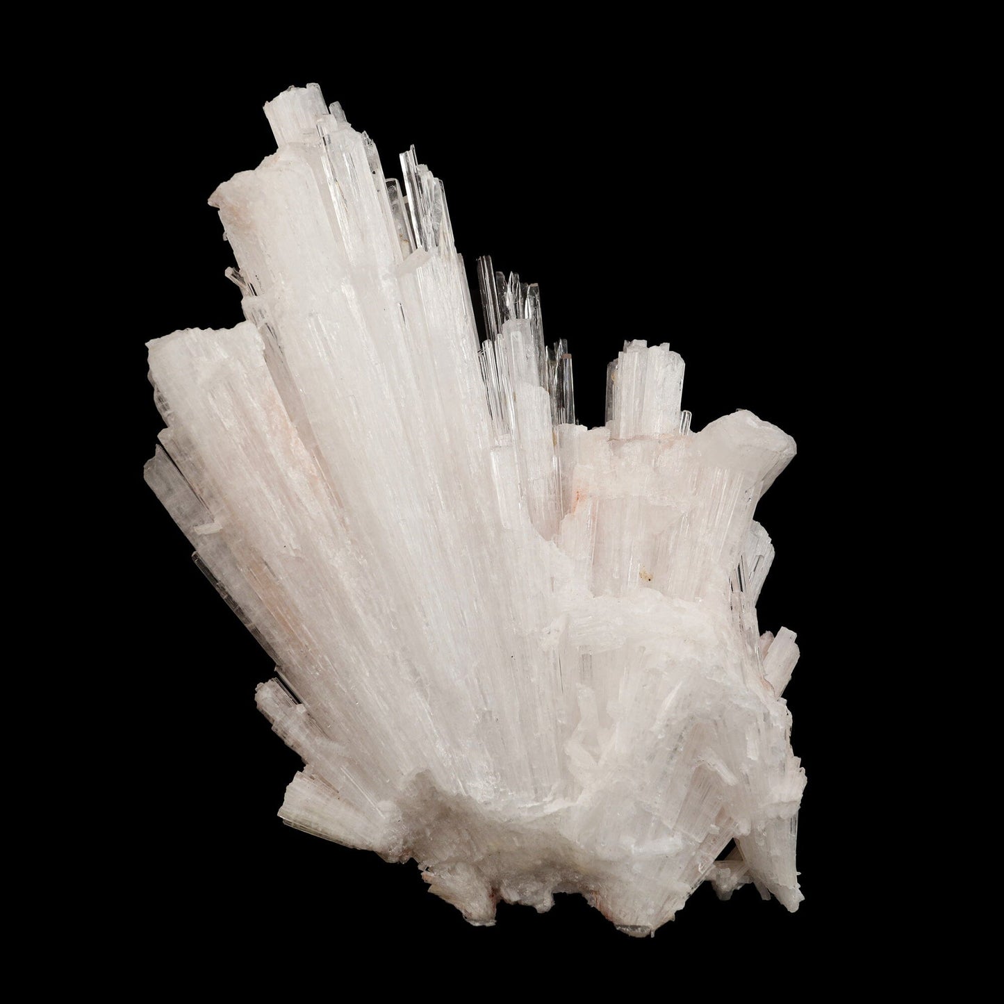 Pink Scolecite Sprays Rare found Natural Mineral Specimen # B 6662 Scolecite Superb Minerals