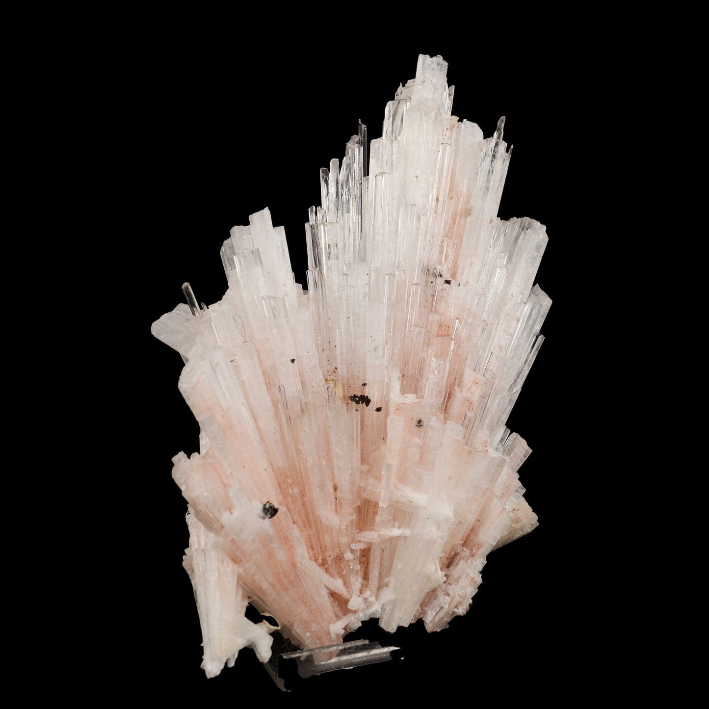 Pink Scolecite Sprays Rare found Natural Mineral Specimen # B 6662 Scolecite Superb Minerals
