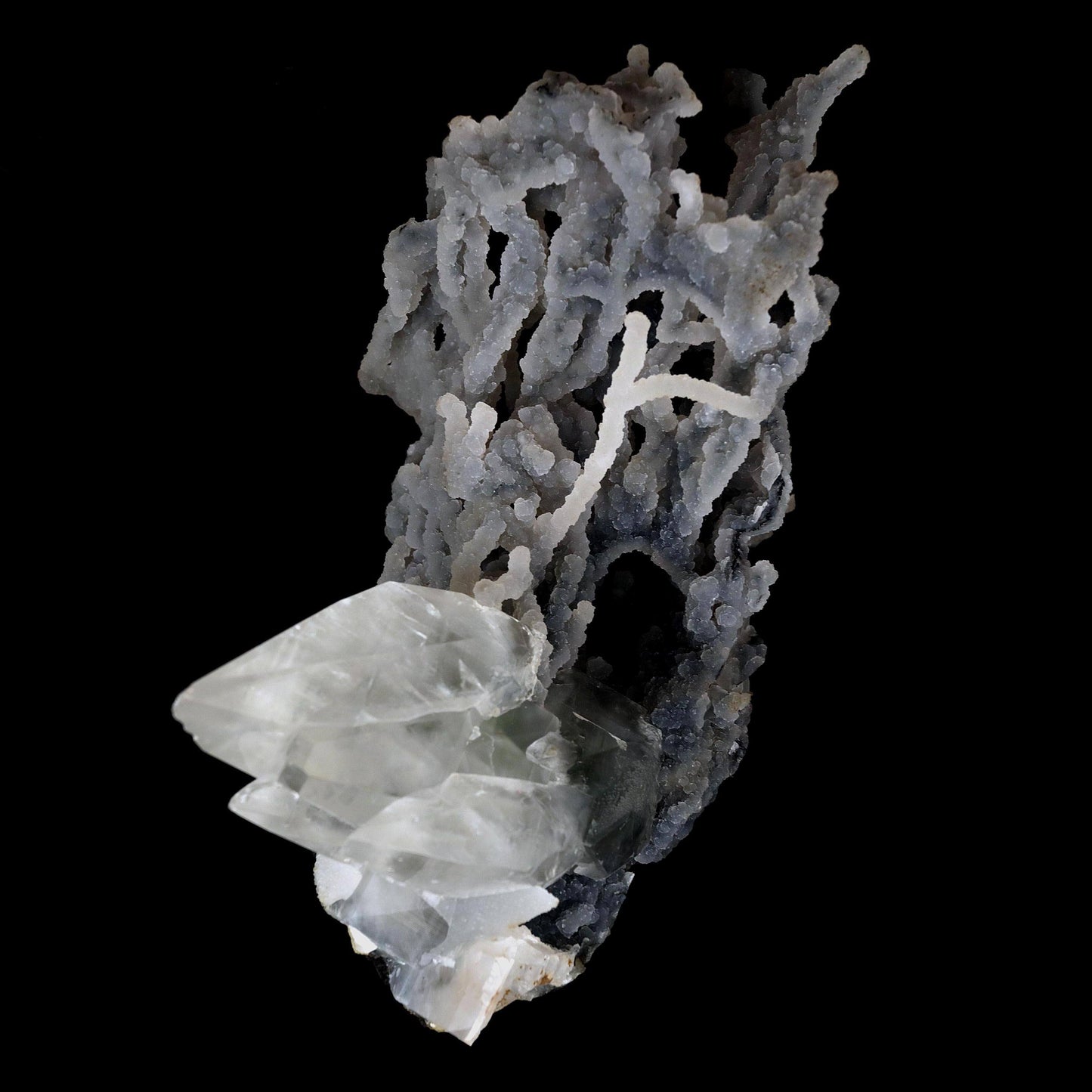 Pointed Calcite Crystal On Chalcedony Coral Formation Natural Mineral Specimen # B 4642 Calcite Superb Minerals 