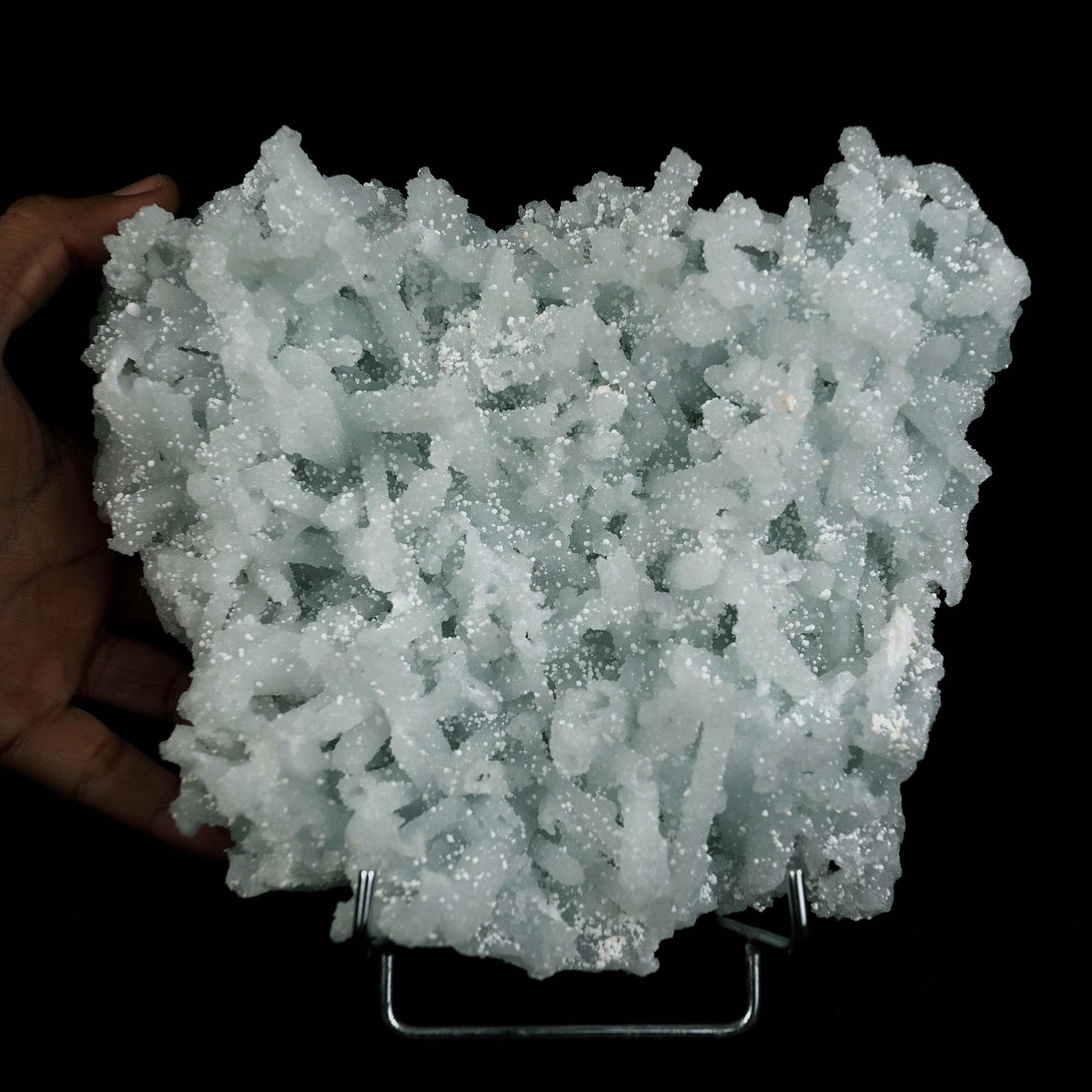 Prehnite Rare Find Natural Mineral Specimen # B 4607  https://www.superbminerals.us/products/prehnite-rare-find-natural-mineral-specimen-b-4607  Features:Precious jackstraw cluster of elongated laumontite crystals that pseudomorphed from mint-green, translucent prehnite crystals. Malad Quarry in Mumbai is well-known for its classic and exceptional vintage material.The quarry's closure.