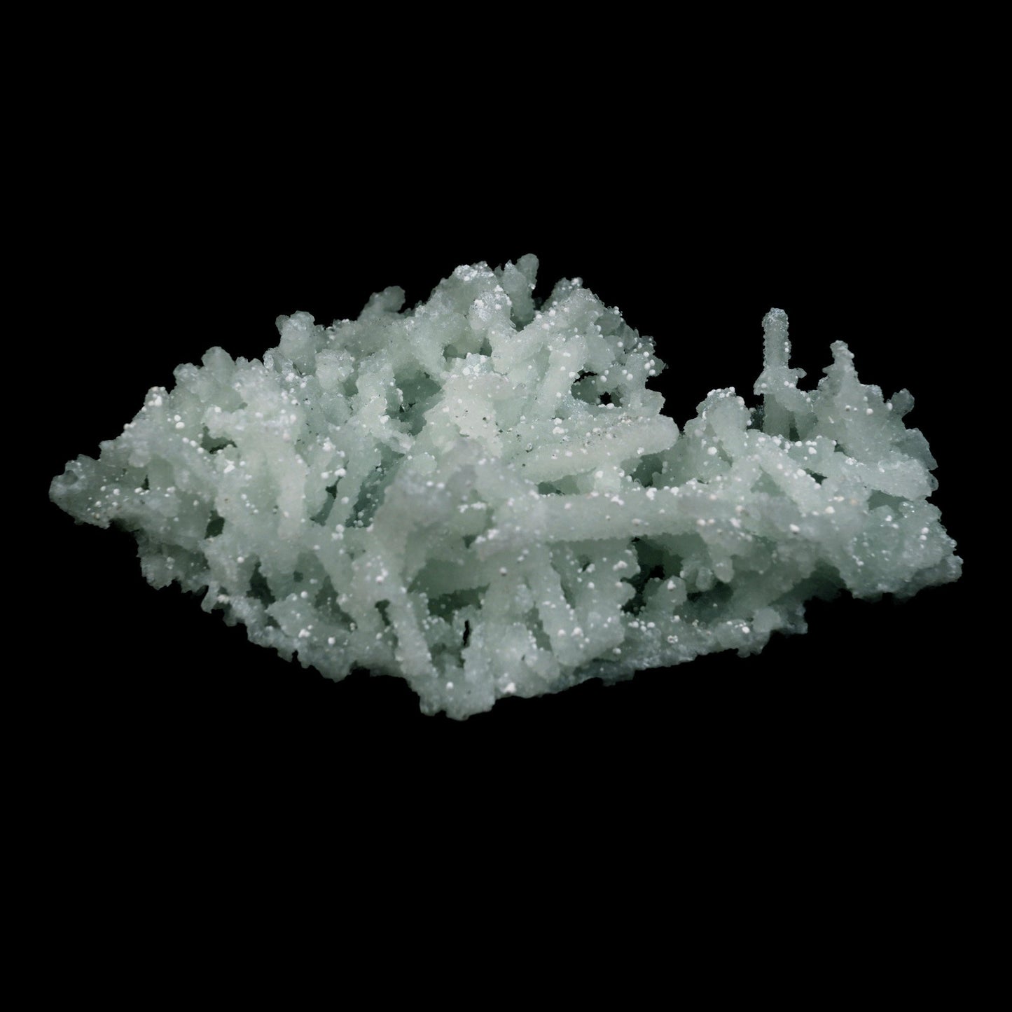 Prehnite Rare Find Natural Mineral Specimen # B 4717  https://www.superbminerals.us/products/prehnite-rare-find-natural-mineral-specimen-b-4717  Features: Pretty mint-green prehnite has pseudomorphed elongated laumontite crystals on this classic and excellent large jackstraw cluster from the famous Malad Quarry. The translucent pseudos and some of them are hollow on this impressive sculptural 360-degree specimen. Seldom on the market today,