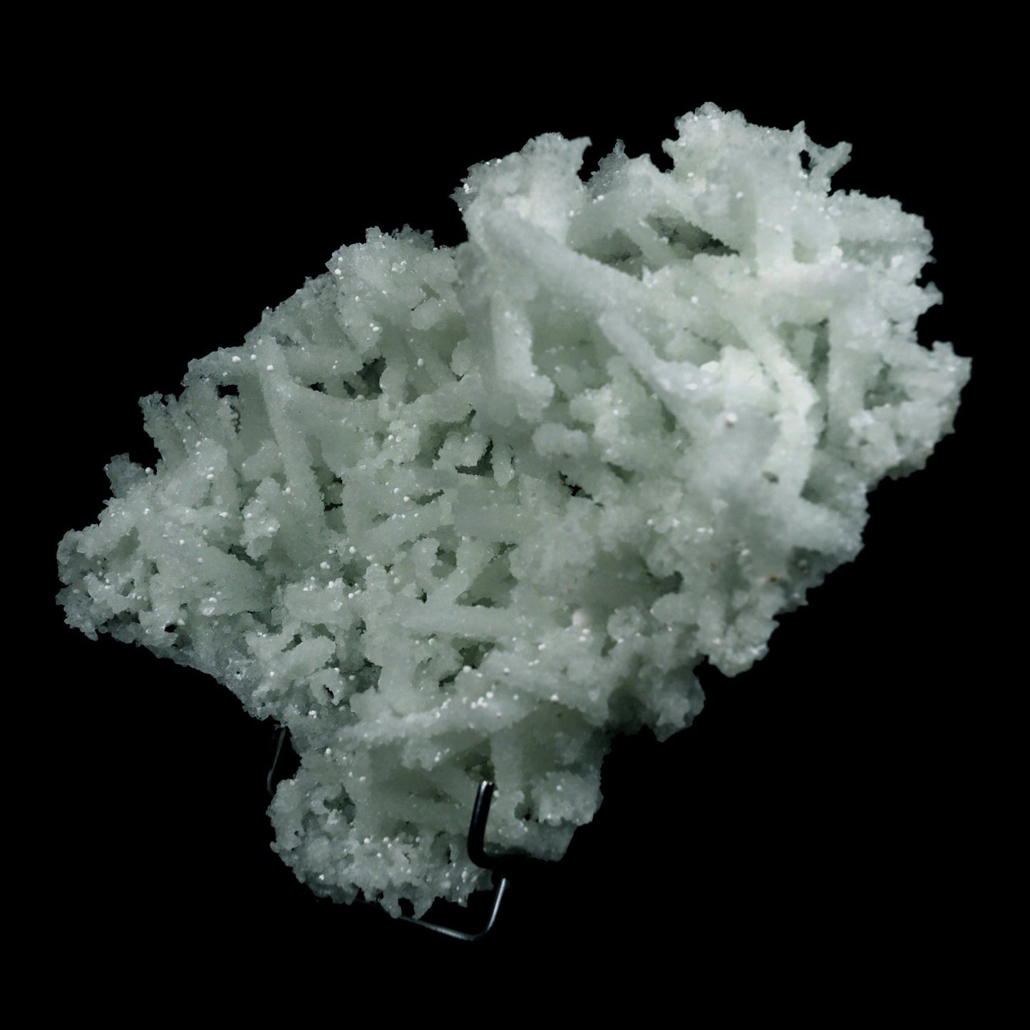 Prehnite Rare Find Natural Mineral Specimen # B 4755 https://www.superbminerals.us/products/prehnite-rare-find-natural-mineral-specimen-b-4755 Features: A coveted jackstraw cluster of elongated laumontite crystals that pseudomorphed from mint-green, translucent prehnite crystals has been discovered in the United Kingdom.The Malad Quarry, located near Mumbai, is a well-known source of classic and excellent vintage material for restoration projects.