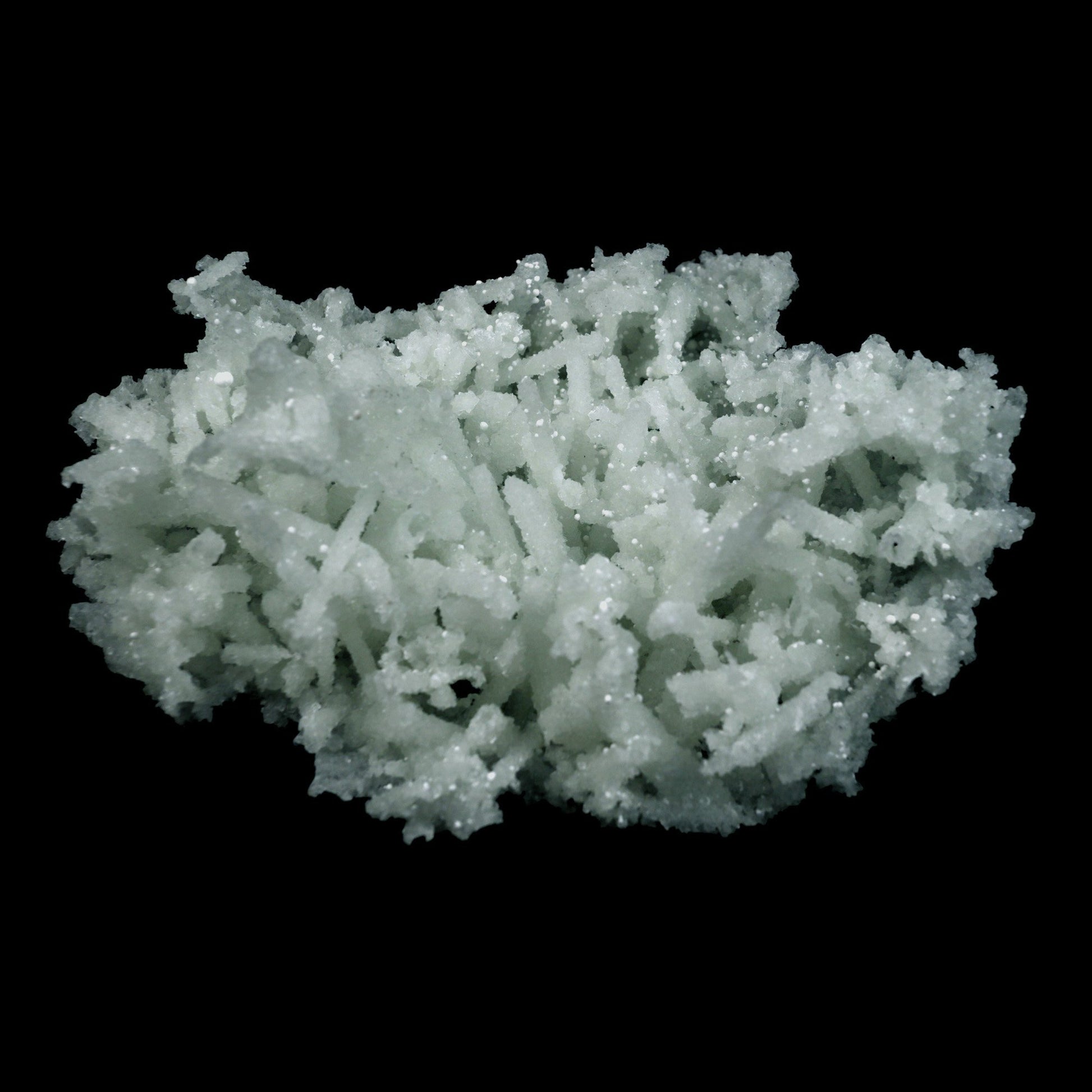 Prehnite Rare Find Natural Mineral Specimen # B 4755  https://www.superbminerals.us/products/prehnite-rare-find-natural-mineral-specimen-b-4755  Features: A coveted jackstraw cluster of elongated laumontite crystals that pseudomorphed from mint-green, translucent prehnite crystals has been discovered in the United Kingdom.The Malad Quarry, located near Mumbai, is a well-known source of classic and excellent vintage material for restoration projects.