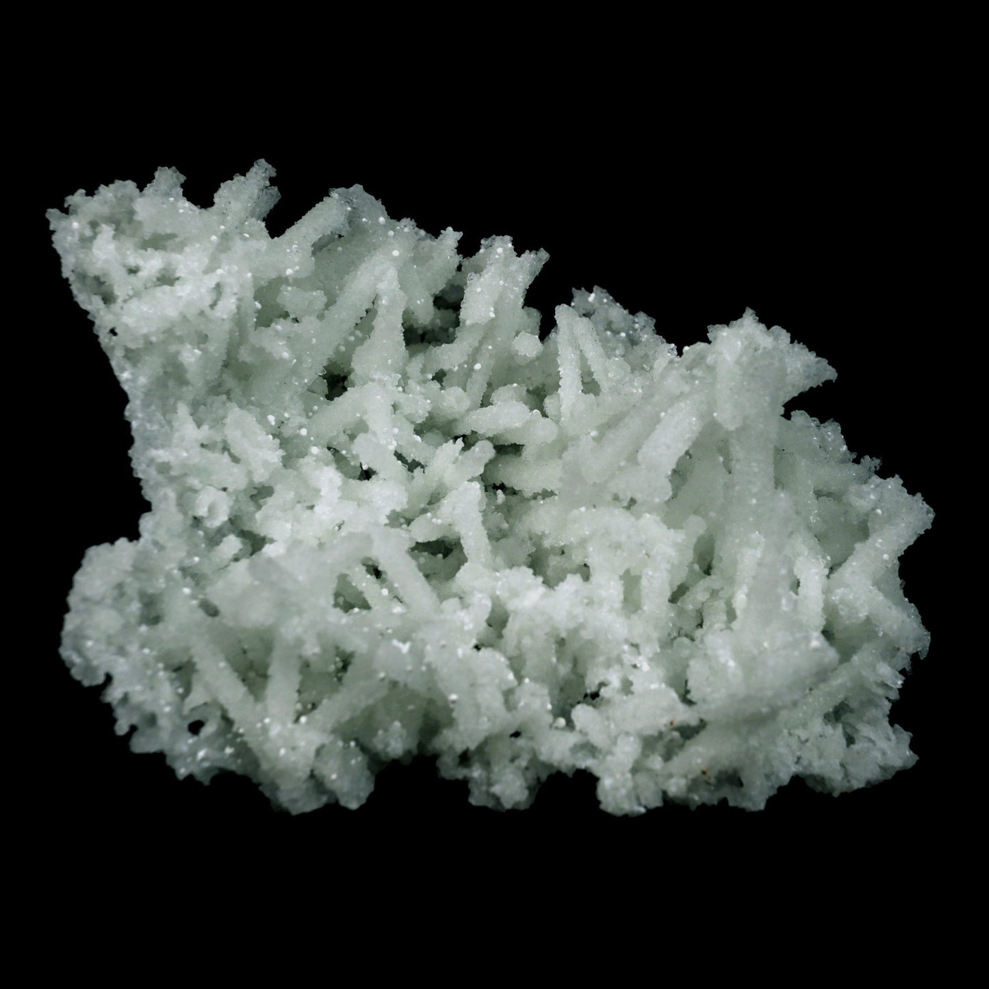 Prehnite Rare Find Natural Mineral Specimen # B 4755 https://www.superbminerals.us/products/prehnite-rare-find-natural-mineral-specimen-b-4755 Features: A coveted jackstraw cluster of elongated laumontite crystals that pseudomorphed from mint-green, translucent prehnite crystals has been discovered in the United Kingdom.The Malad Quarry, located near Mumbai, is a well-known source of classic and excellent vintage material for restoration projects.