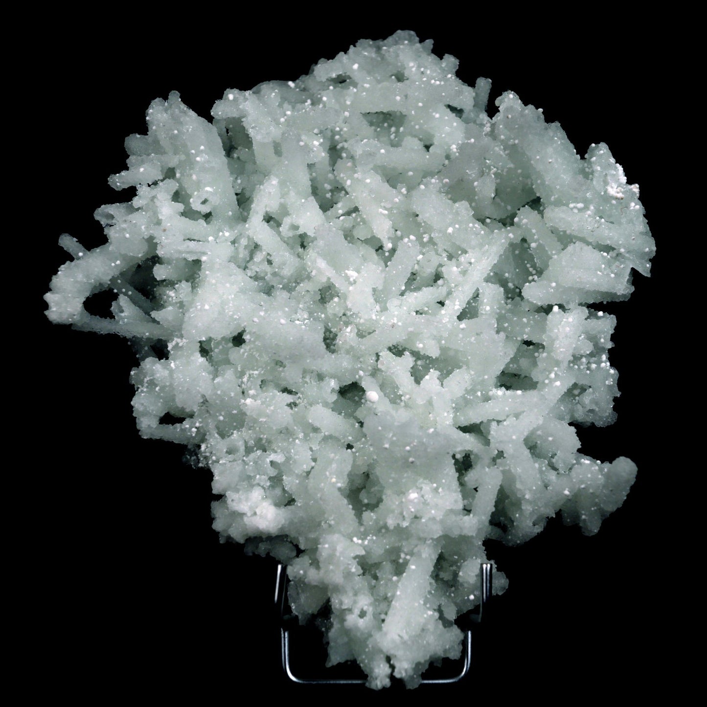 Prehnite Rare Find Natural Mineral Specimen # B 4819 https://www.superbminerals.us/products/prehnite-rare-find-natural-mineral-specimen-b-4808 Features: Precious jackstraw cluster of elongated laumontite crystals that pseudomorphed from mint-green, translucent prehnite crystals.Malad Quarry in Mumbai is well-known for its classic and exceptional vintage material.The quarry's closure. Primary Mineral(s): Prehnite