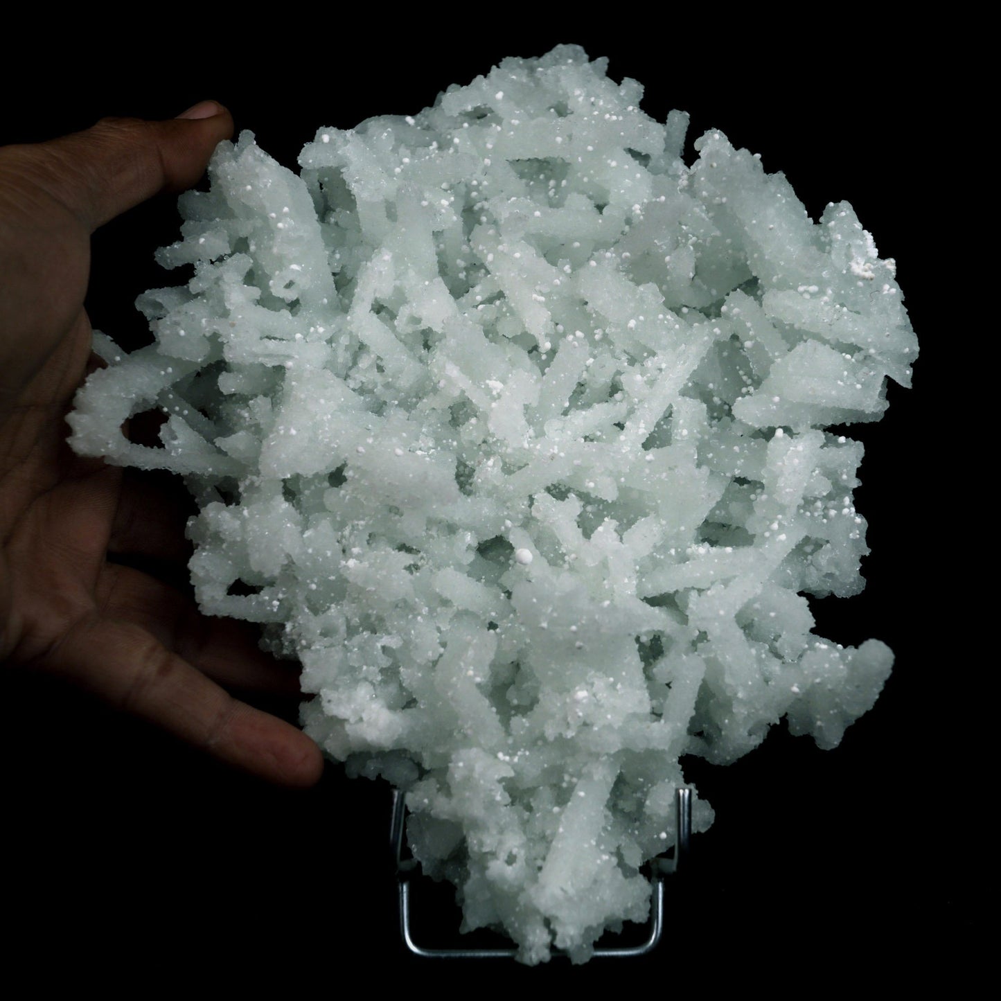 Prehnite Rare Find Natural Mineral Specimen # B 4819 https://www.superbminerals.us/products/prehnite-rare-find-natural-mineral-specimen-b-4808 Features: Precious jackstraw cluster of elongated laumontite crystals that pseudomorphed from mint-green, translucent prehnite crystals.Malad Quarry in Mumbai is well-known for its classic and exceptional vintage material.The quarry's closure. Primary Mineral(s): Prehnite