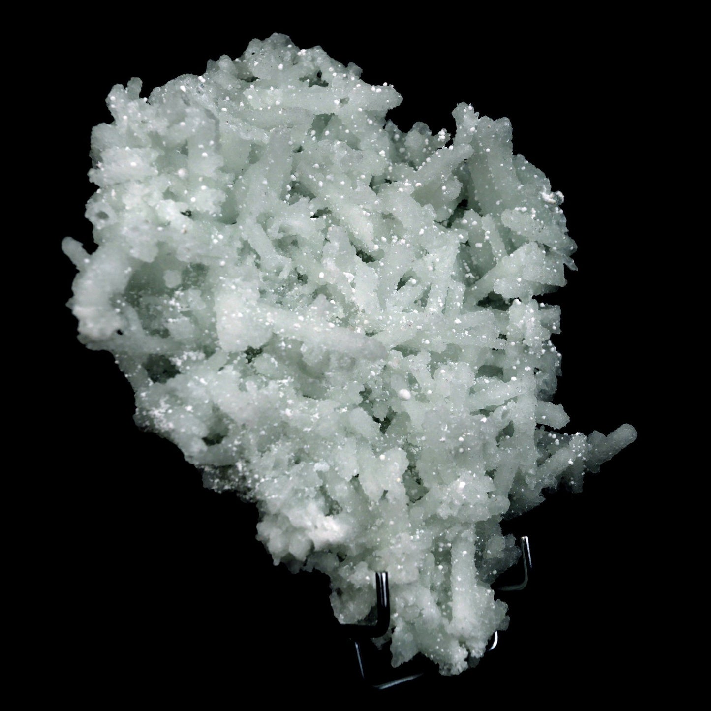 Prehnite Rare Find Natural Mineral Specimen # B 4819 https://www.superbminerals.us/products/prehnite-rare-find-natural-mineral-specimen-b-4808 Features: Precious jackstraw cluster of elongated laumontite crystals that pseudomorphed from mint-green, translucent prehnite crystals.Malad Quarry in Mumbai is well-known for its classic and exceptional vintage material.The quarry's closure. Primary Mineral(s): Prehnite