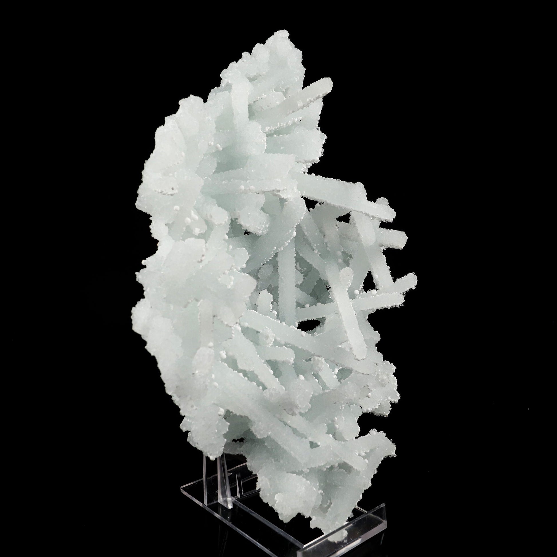 Prehnite Rare Find Natural Mineral Specimen # B 5702 Prehnite Superb Minerals