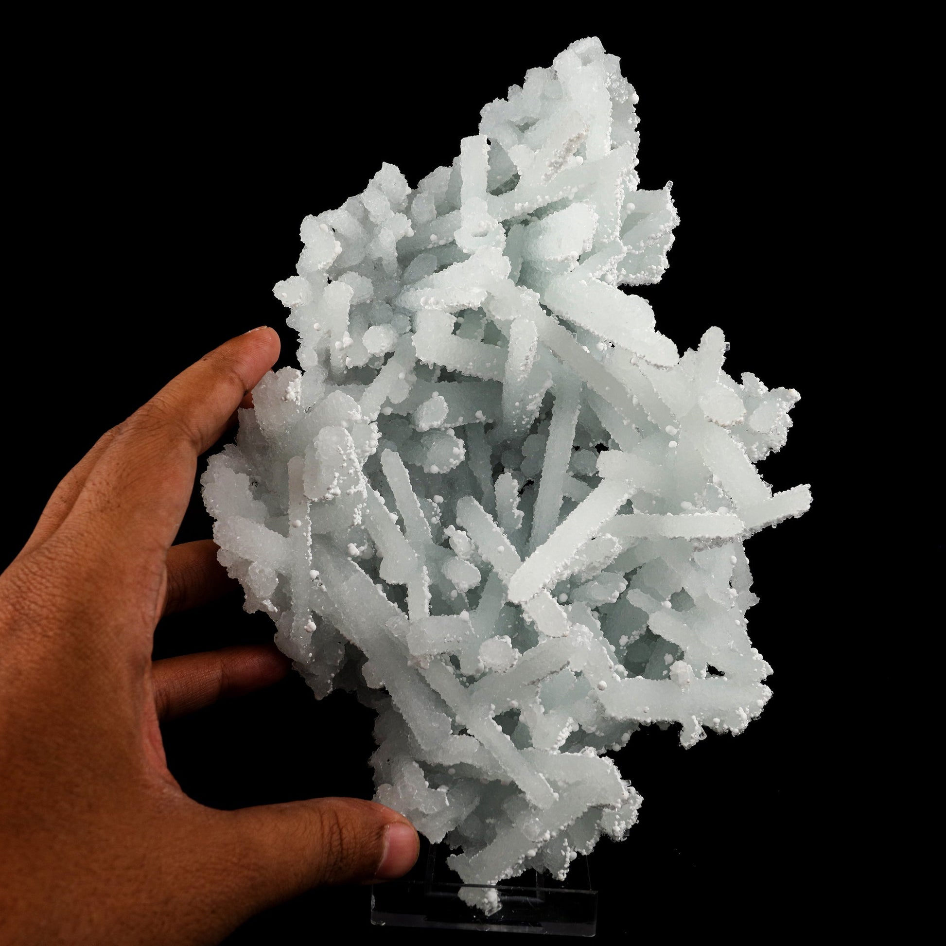 Prehnite Rare Find Natural Mineral Specimen # B 5702 Prehnite Superb Minerals