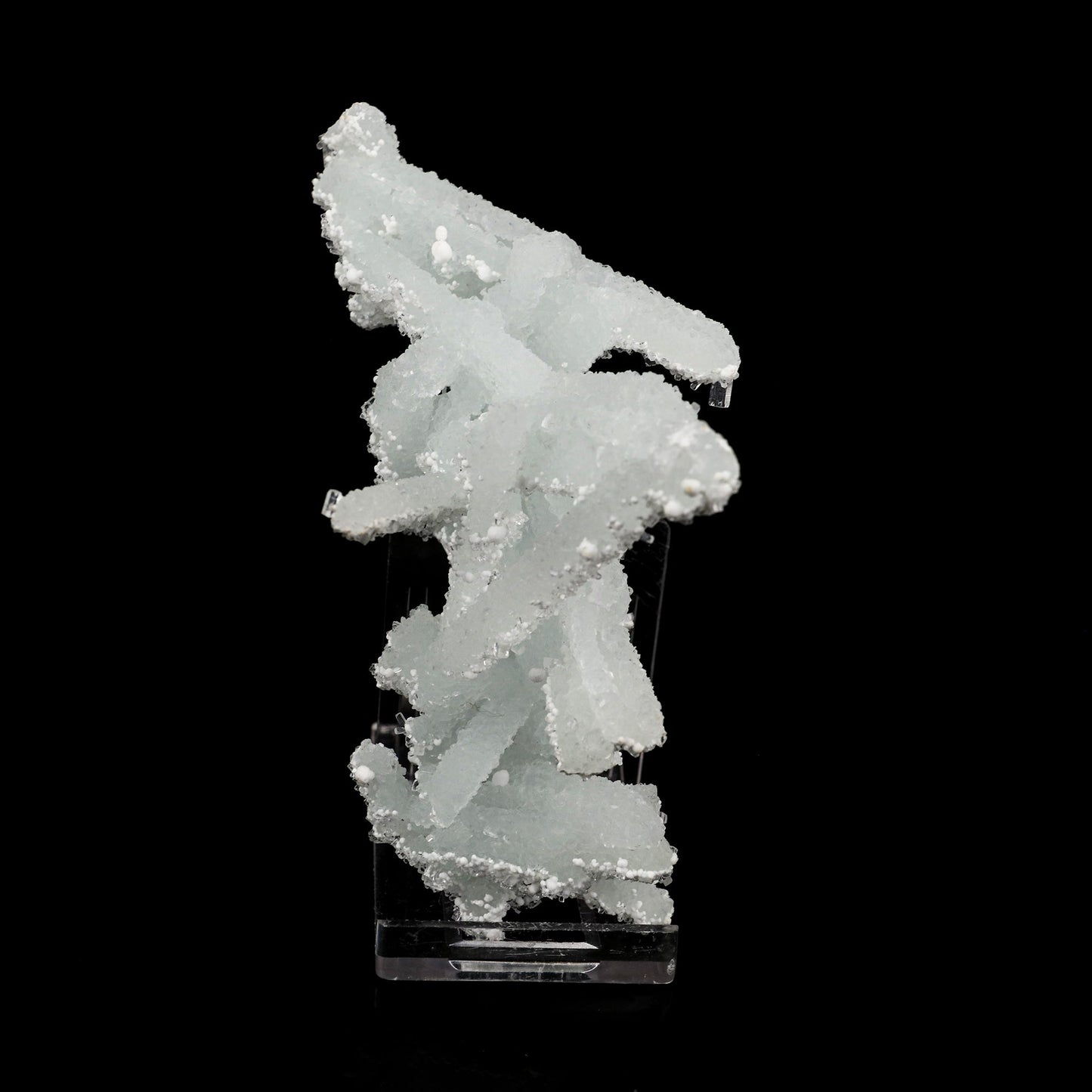 Prehnite Rare Find Natural Mineral Specimen # B 5710 Prehnite Superb Minerals