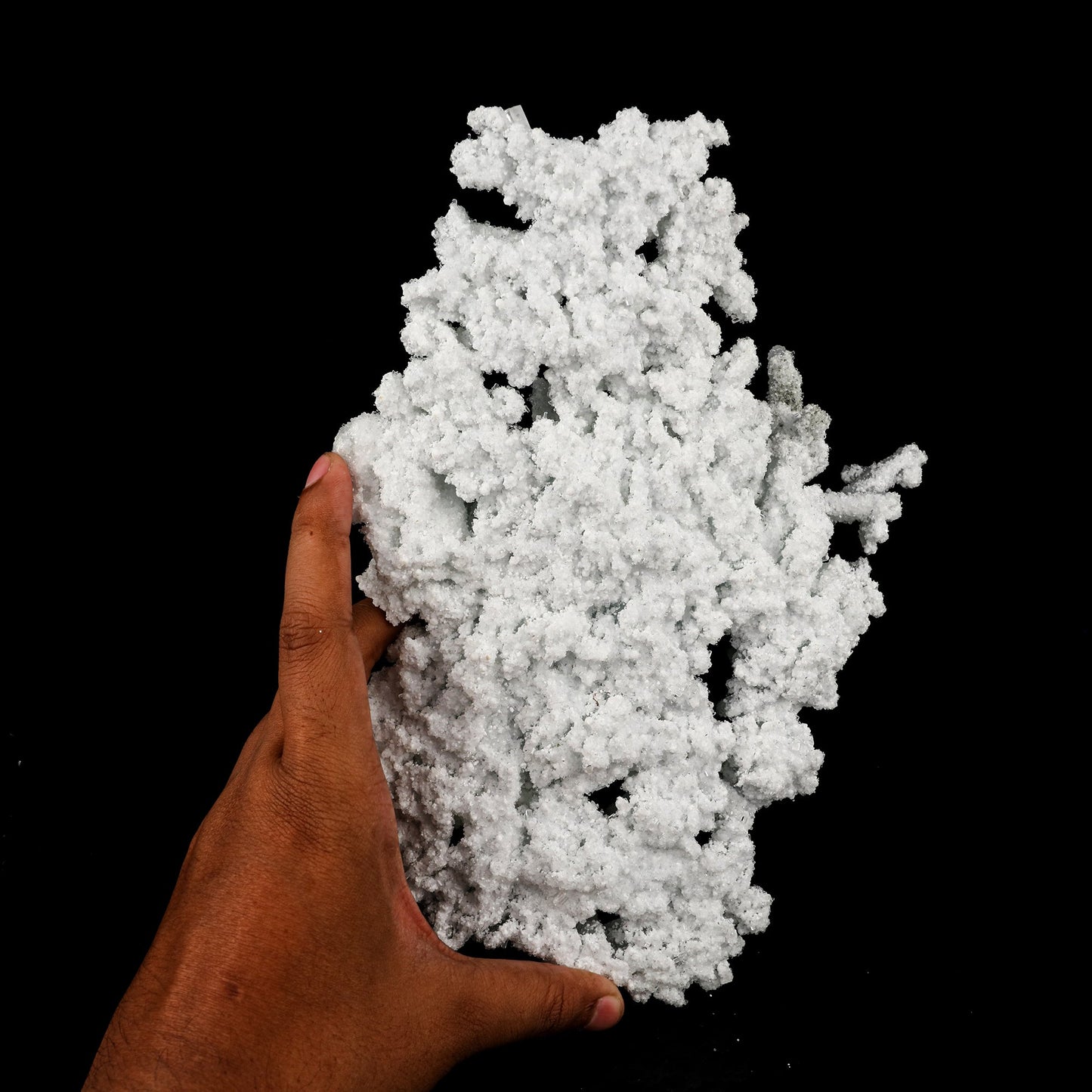 Prehnite Rare Find Natural Mineral Specimen # B 5845 Prehnite Superb Minerals
