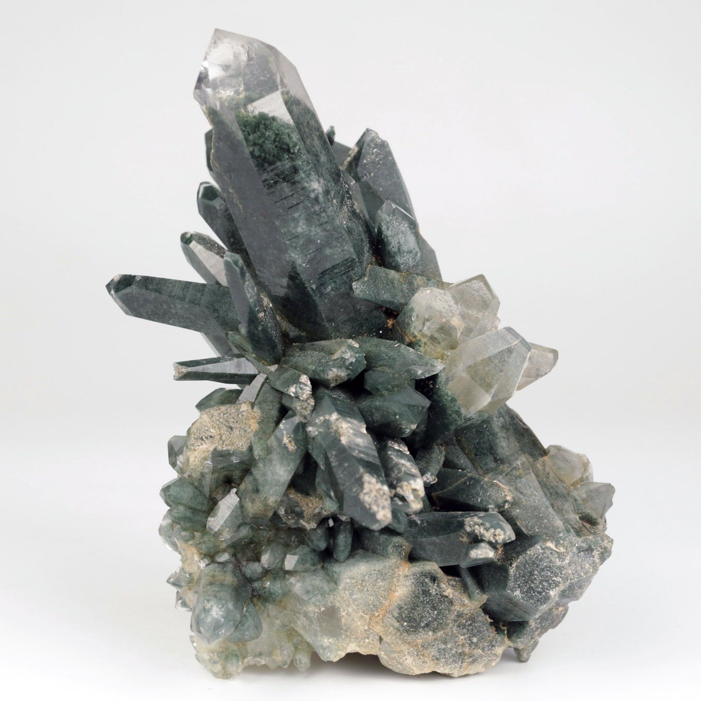 Quartz Gray Cluster Rare Find Natural Mineral Specimen # B 4856 https://www.superbminerals.us/products/quartz-gray-cluster-rare-find-natural-mineral-specimen-b-4856 Features: This Himalayan Quartz Cluster has a beautiful, aesthetically pleasing form and superb clarity.All the crystal individuals have shimmering Anatase minerals bonded to the facets, giving this cluster it's own unique appearance. The matrix is composed of lovely gray chlorite which gives the entire cluster