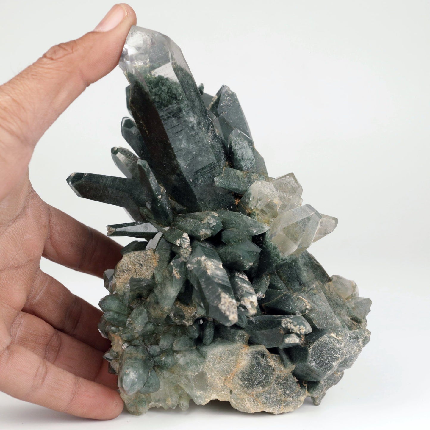 Quartz Gray Cluster Rare Find Natural Mineral Specimen # B 4856 https://www.superbminerals.us/products/quartz-gray-cluster-rare-find-natural-mineral-specimen-b-4856 Features: This Himalayan Quartz Cluster has a beautiful, aesthetically pleasing form and superb clarity.All the crystal individuals have shimmering Anatase minerals bonded to the facets, giving this cluster it's own unique appearance. The matrix is composed of lovely gray chlorite which gives the entire cluster