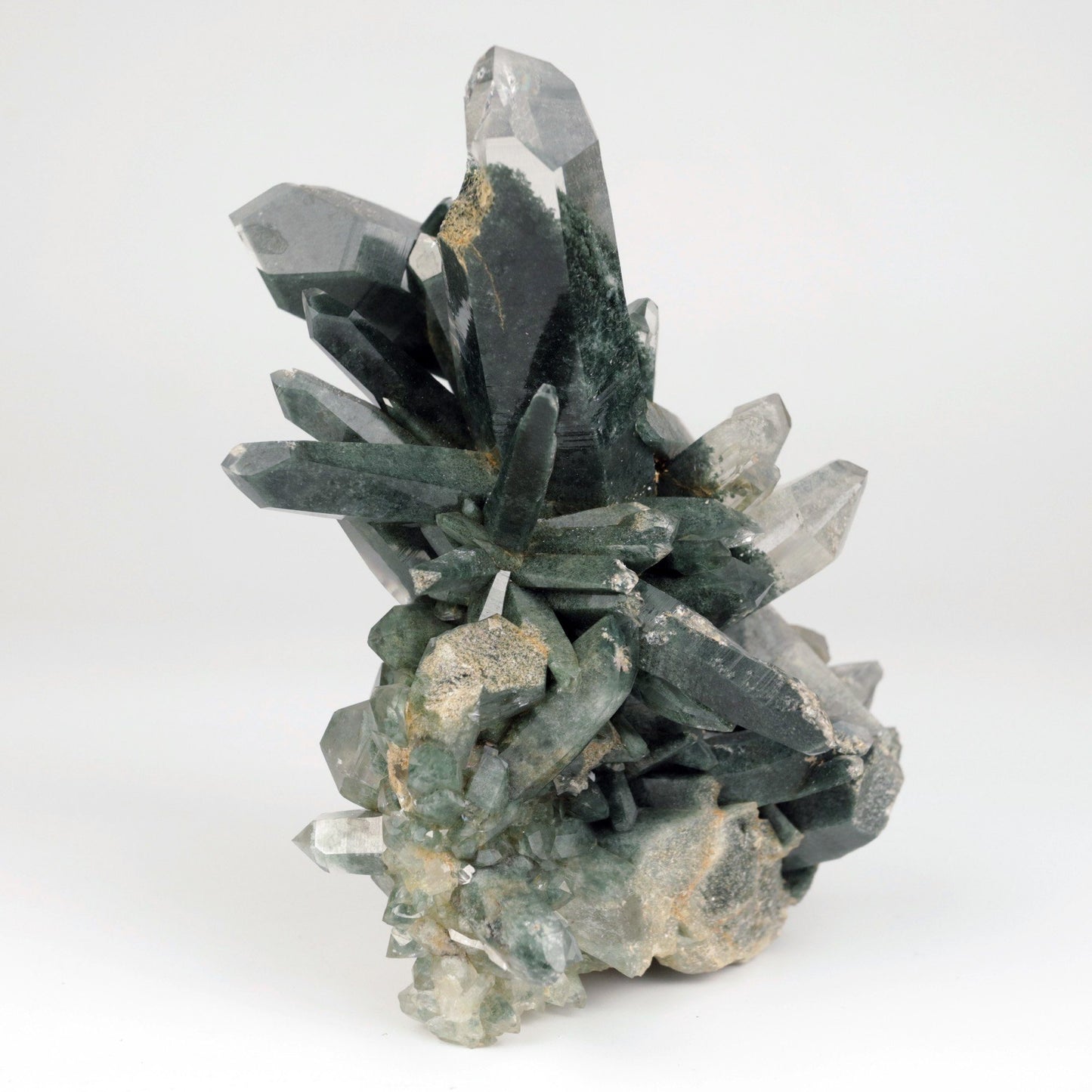 Quartz Gray Cluster Rare Find Natural Mineral Specimen # B 4856 https://www.superbminerals.us/products/quartz-gray-cluster-rare-find-natural-mineral-specimen-b-4856 Features: This Himalayan Quartz Cluster has a beautiful, aesthetically pleasing form and superb clarity.All the crystal individuals have shimmering Anatase minerals bonded to the facets, giving this cluster it's own unique appearance. The matrix is composed of lovely gray chlorite which gives the entire cluster