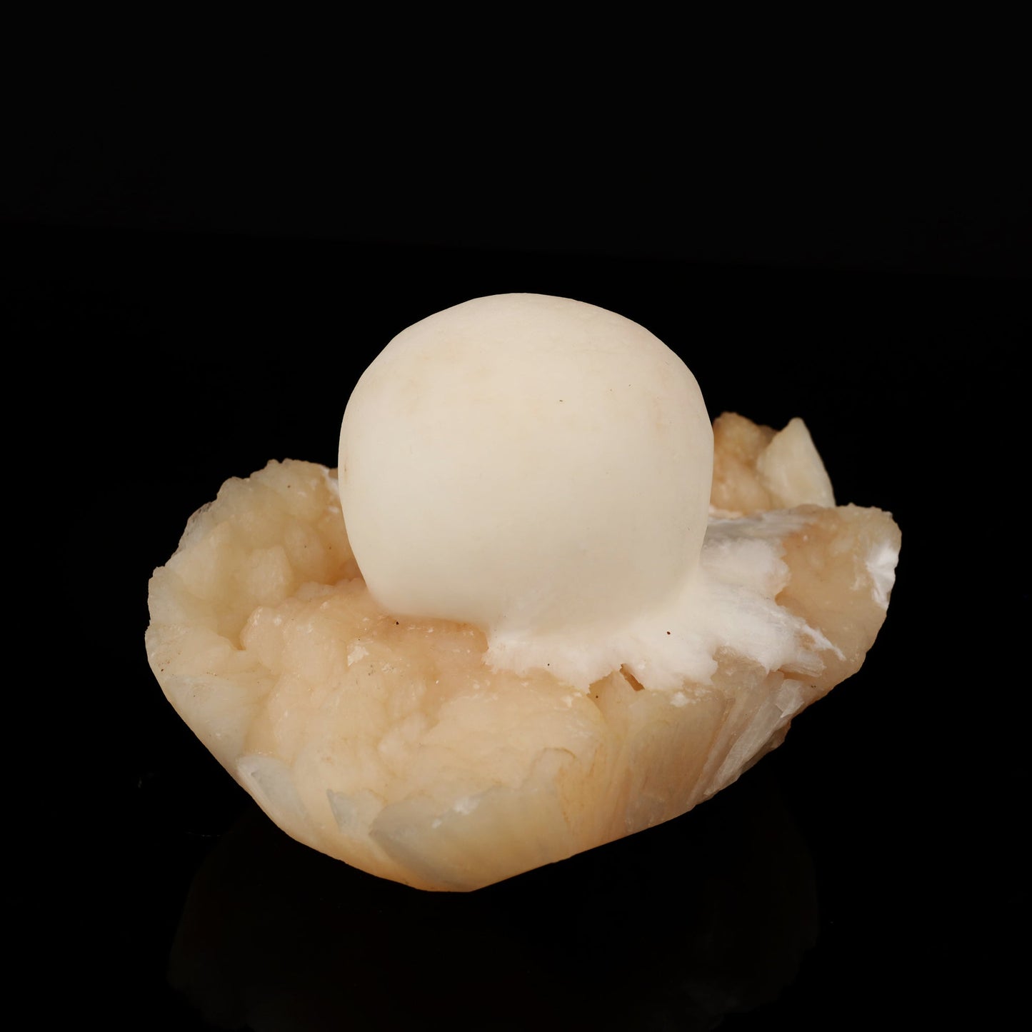 Scolecite Ball on Stilbite Natural Mineral Specimen # B 5578 Scolecite Superb Minerals