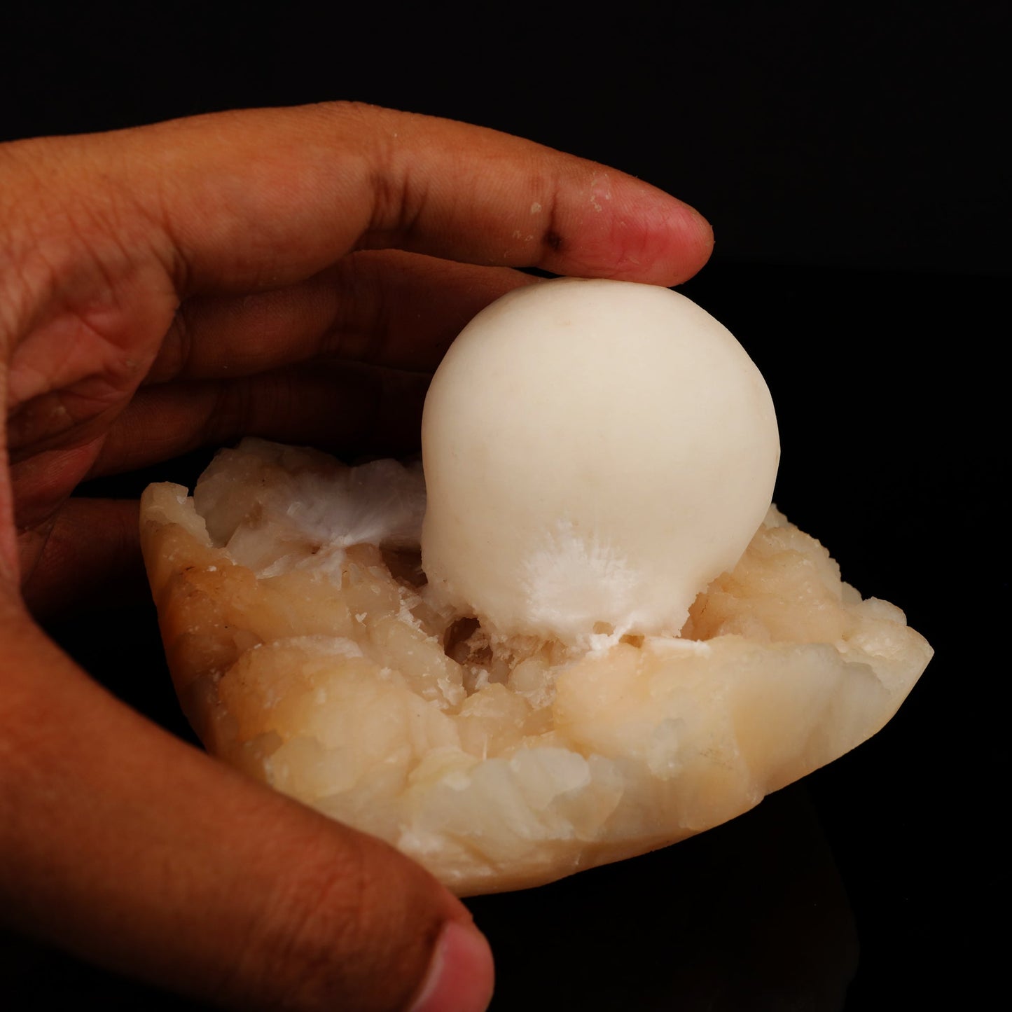Scolecite Ball on Stilbite Natural Mineral Specimen # B 5578 Scolecite Superb Minerals