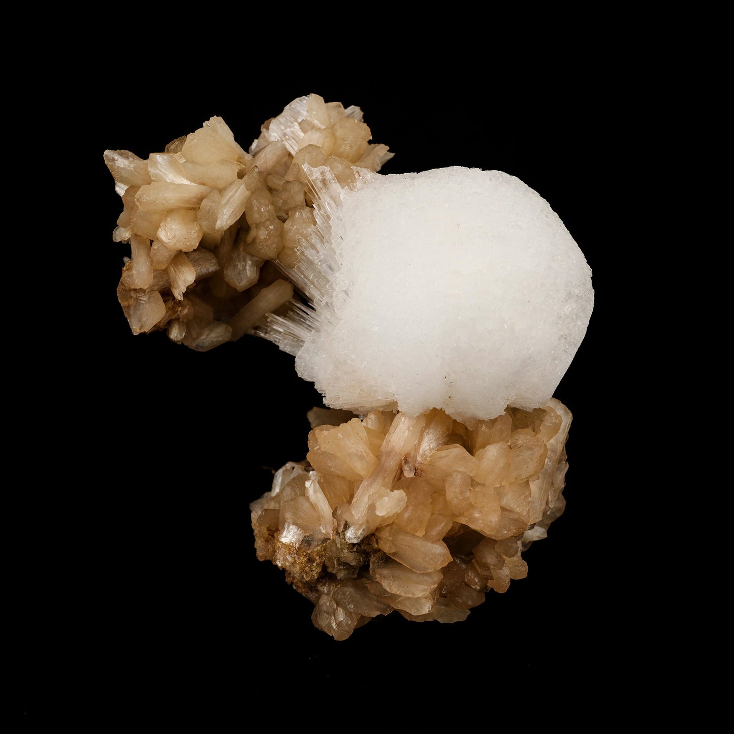 Scolecite Ball on Stilbite Natural Mineral Specimen # B 6125 Scolecite Superb Minerals