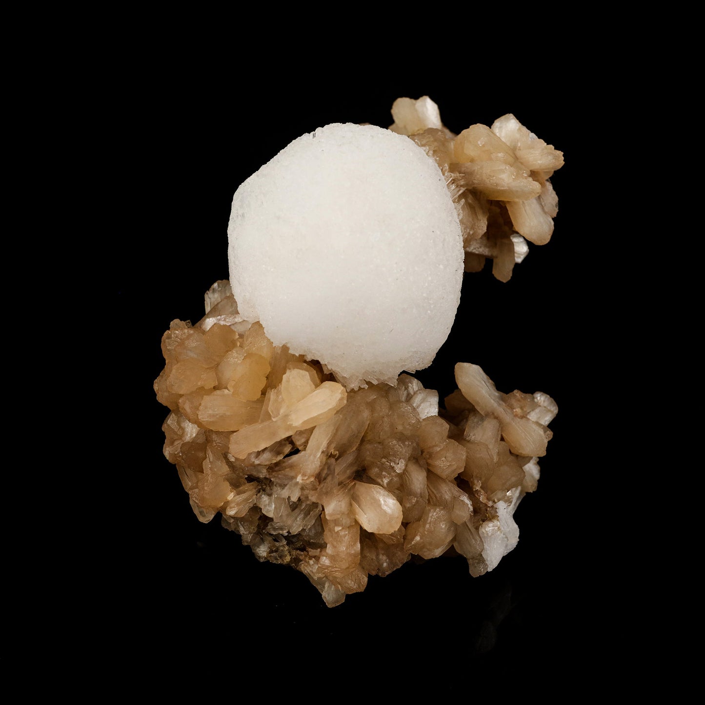 Scolecite Ball on Stilbite Natural Mineral Specimen # B 6125 Scolecite Superb Minerals