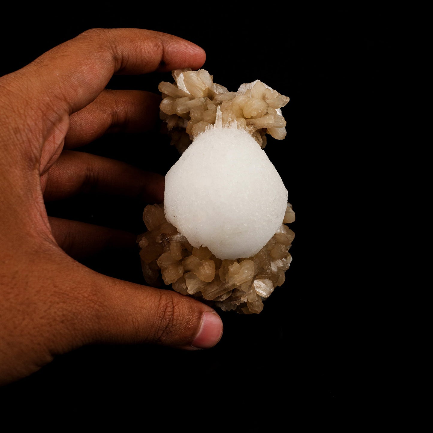 Scolecite Ball on Stilbite Natural Mineral Specimen # B 6125 Scolecite Superb Minerals