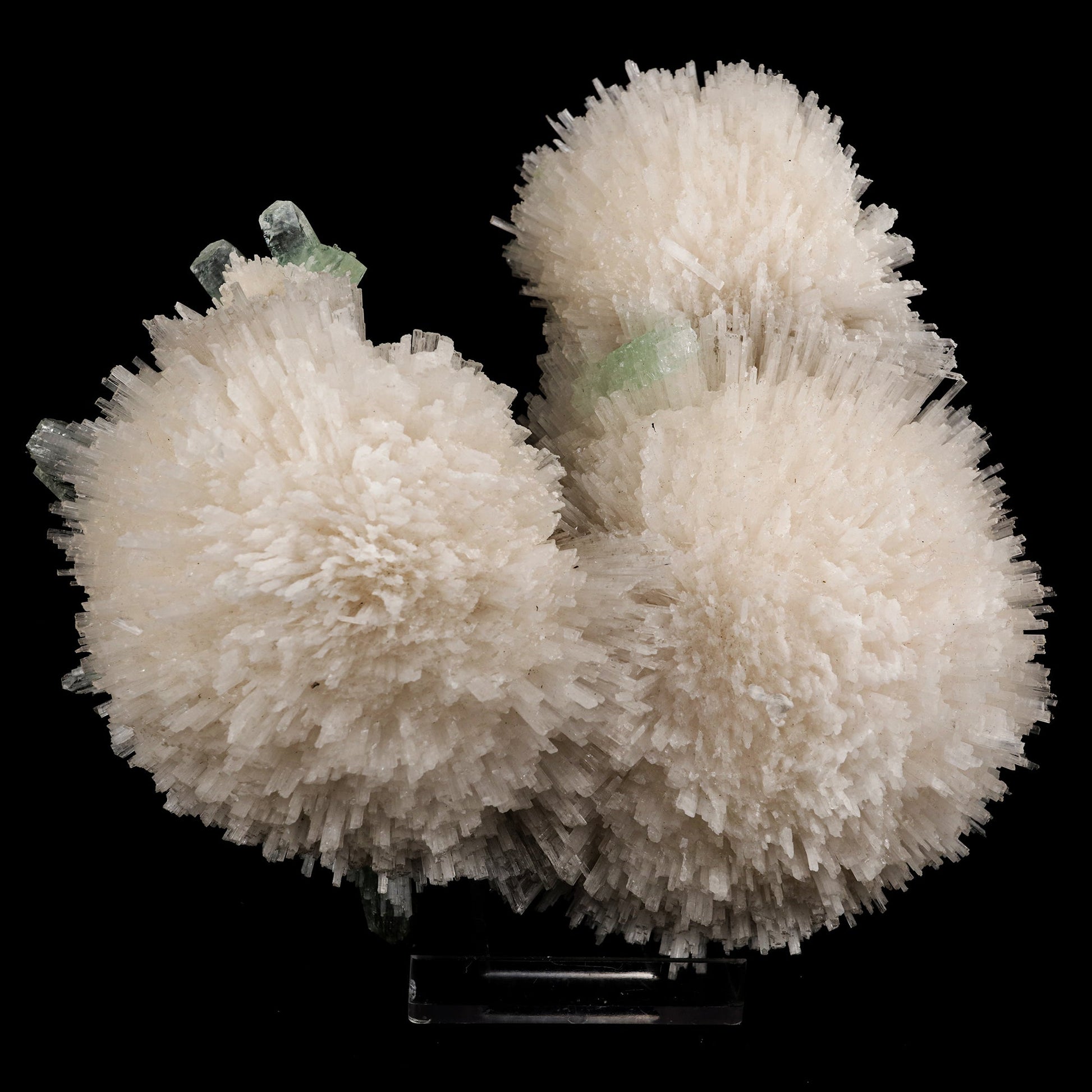 Scolecite Huge Spray on Green Apophyllite Cube Natural Mineral Specimen #5667 scolecite Superb Minerals