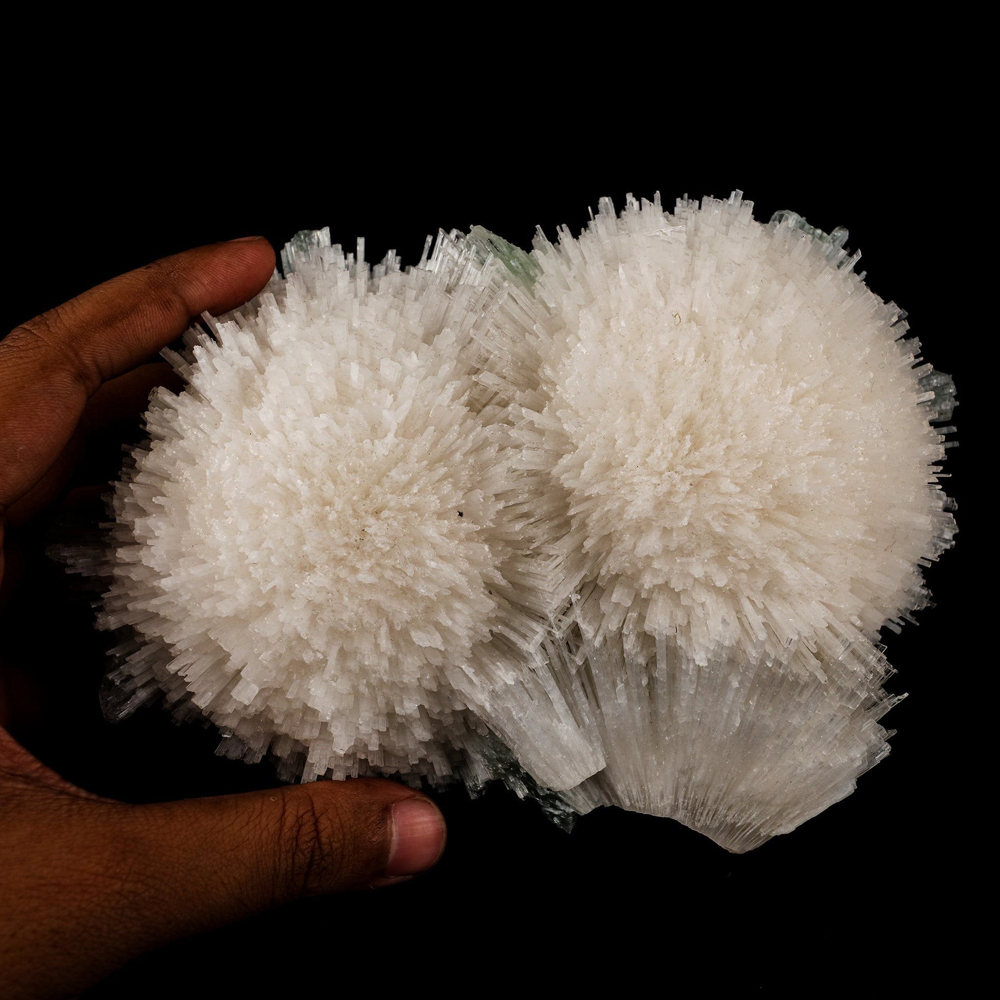 Scolecite Huge Spray with Green Apophyllite Cube Natural Mineral Specimen # B 5725 Scolecite Superb Minerals