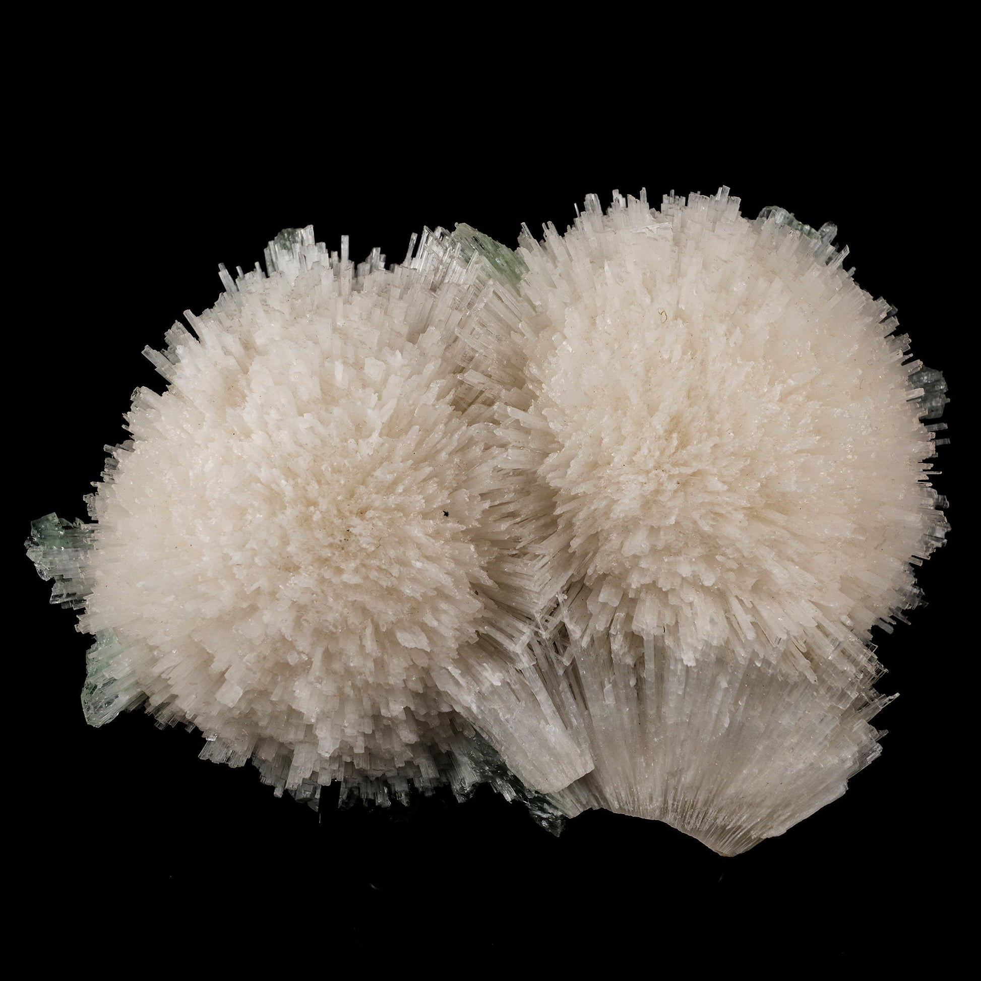 Scolecite Huge Spray with Green Apophyllite Cube Natural Mineral Specimen # B 5725 Scolecite Superb Minerals