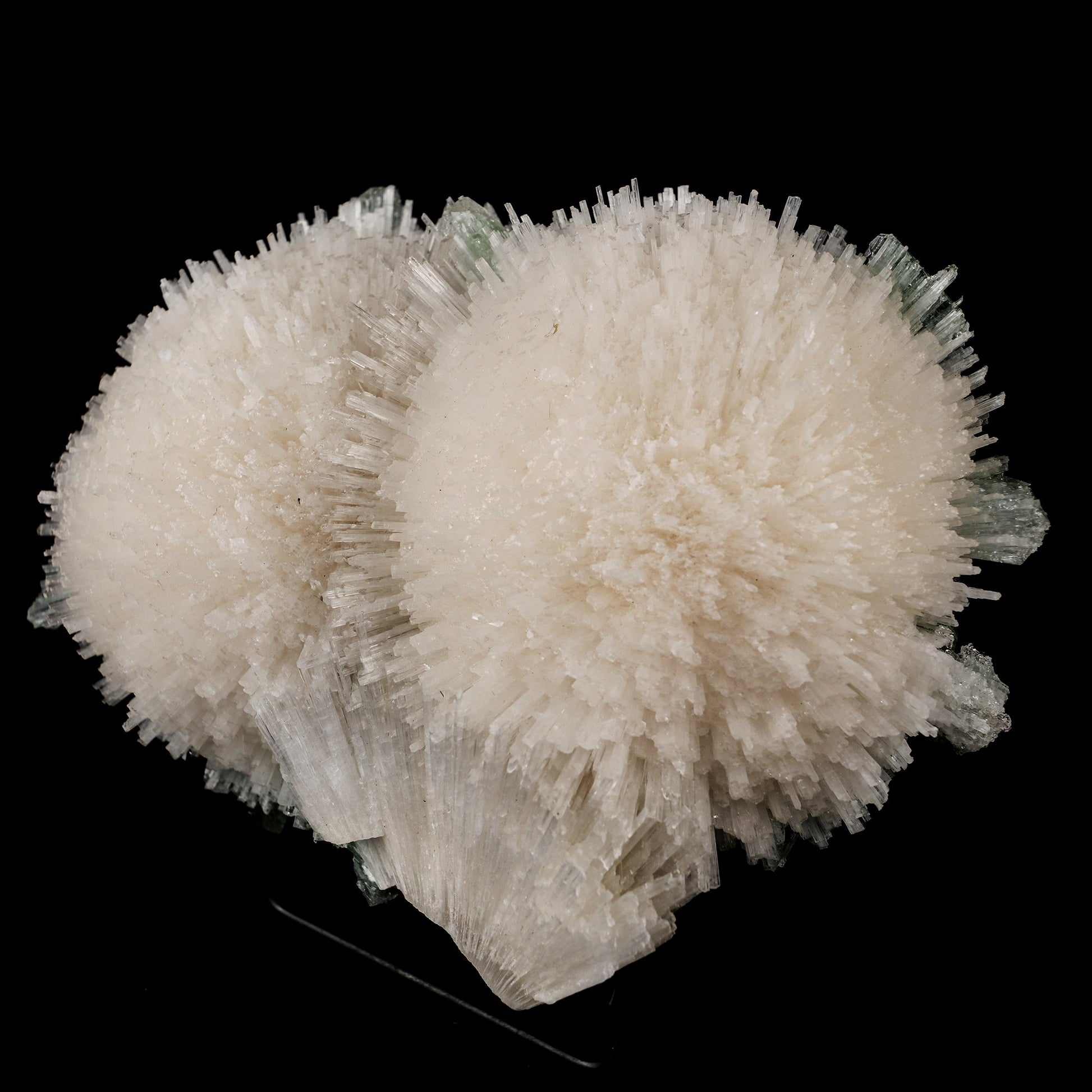 Scolecite Huge Spray with Green Apophyllite Cube Natural Mineral Specimen # B 5725 Scolecite Superb Minerals