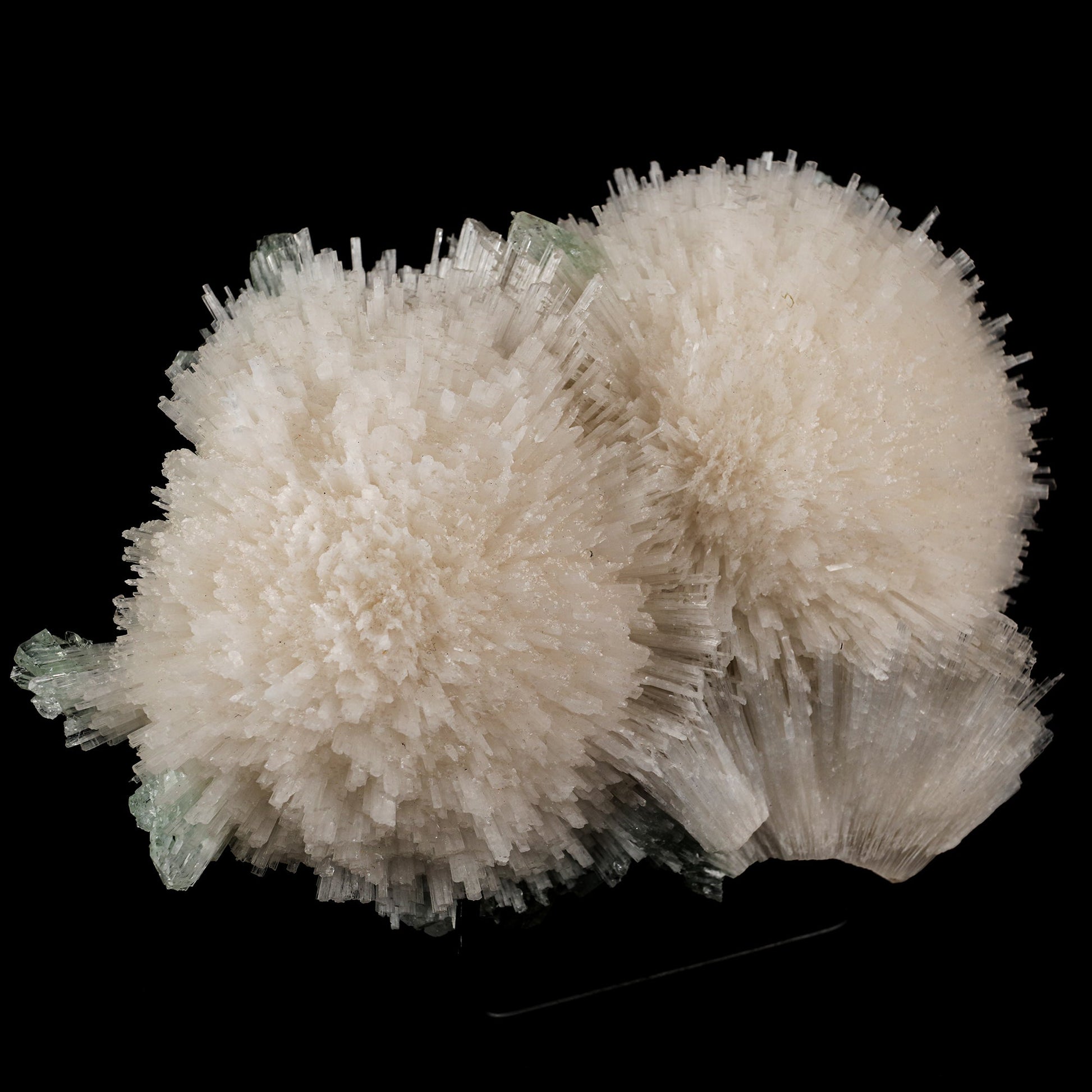 Scolecite Huge Spray with Green Apophyllite Cube Natural Mineral Specimen # B 5725 Scolecite Superb Minerals
