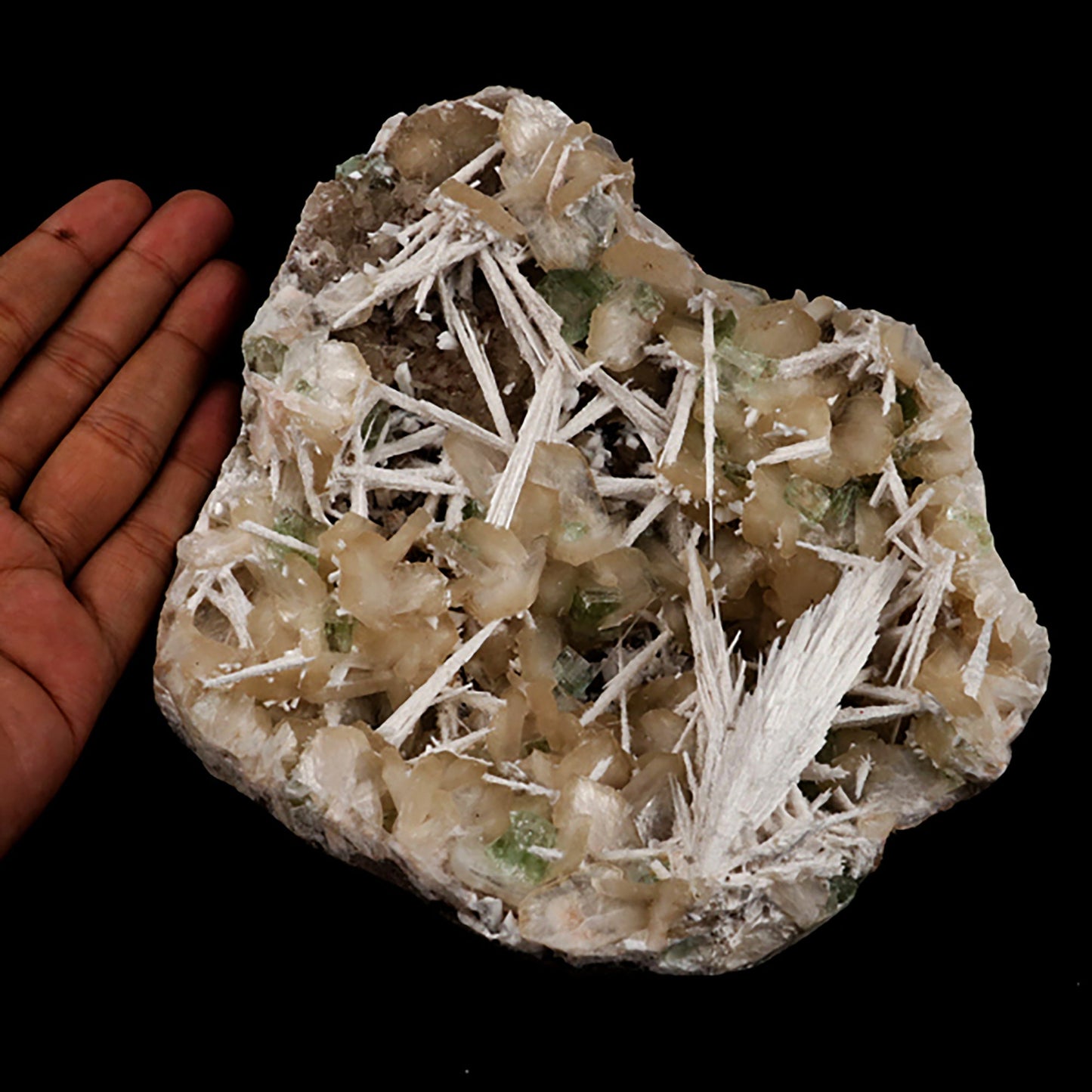 Scolecite Spray and Stilbite Natural Mineral Specimen # B 5403 Scolecite Superb Minerals