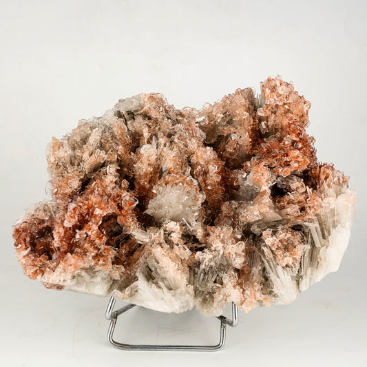 Scolecite Spray Brown color with Apophyllite cubes Natural Mineral Specimen # B 6267 Scolecite Superb Minerals 