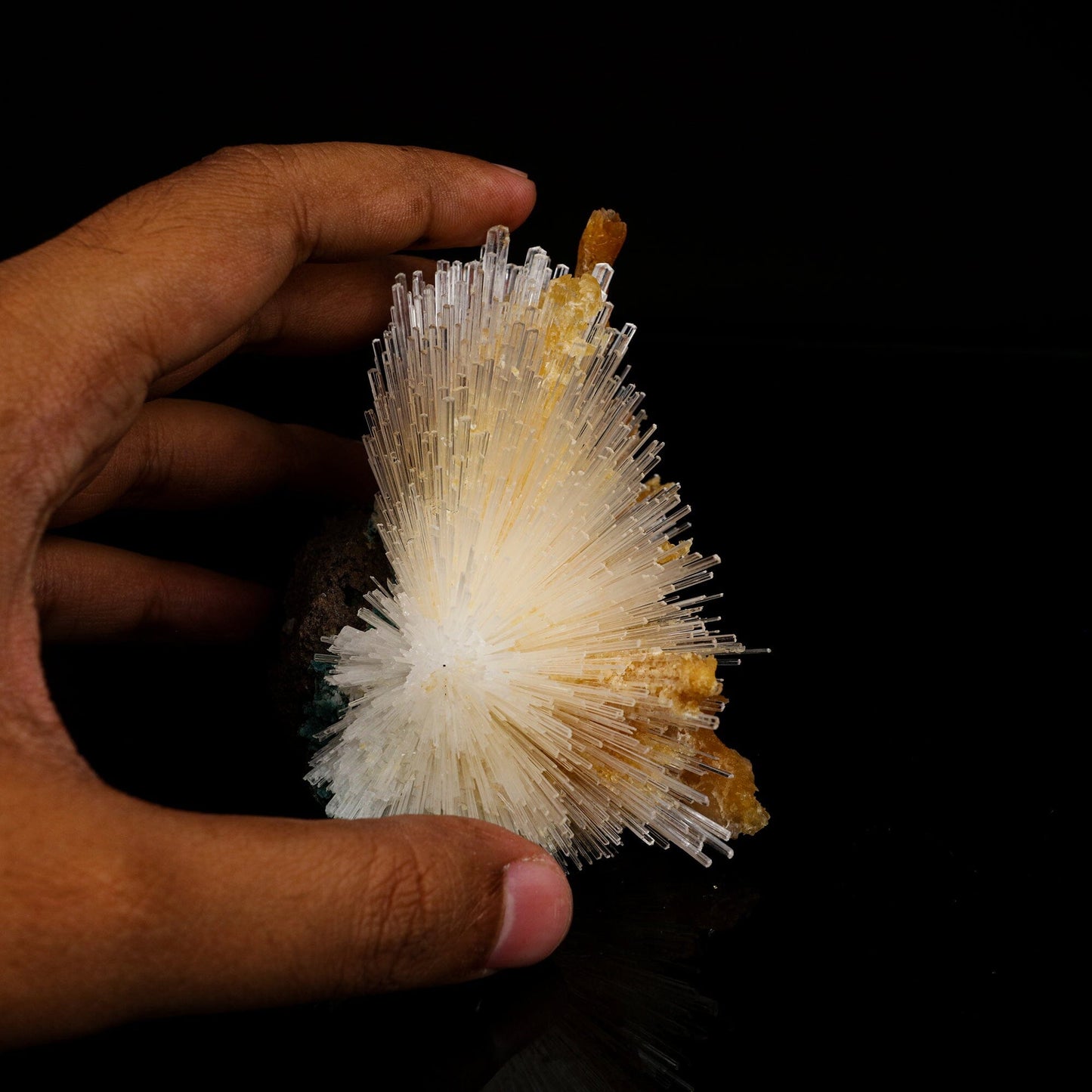 Scolecite Spray With Calcite Stalactites Natural Mineral Specimen # B 6696 Scolecite Superb Minerals 