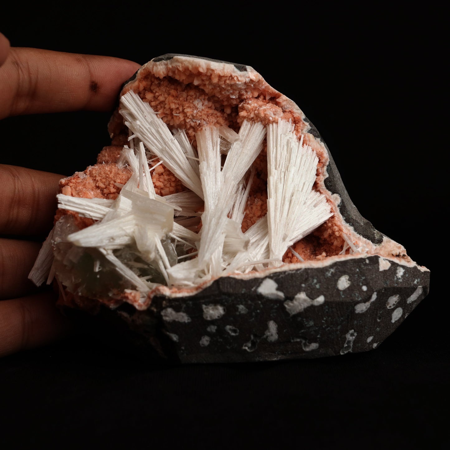 Scolecite Sprays Inside Heulandite Geode Natural Mineral Specimen # B… https://www.superbminerals.us/products/scolecite-sprays-inside-heulandite-geode-natural-mineral-specimen-b-5034 Features: A big, free-standing Geode bordered with peach-colored Heulandite crystals and including two clusters of beige Stilbite crystals. The Geode is a three-dimensional object that is tall, thin, and deep.Very attractive and in great condition.