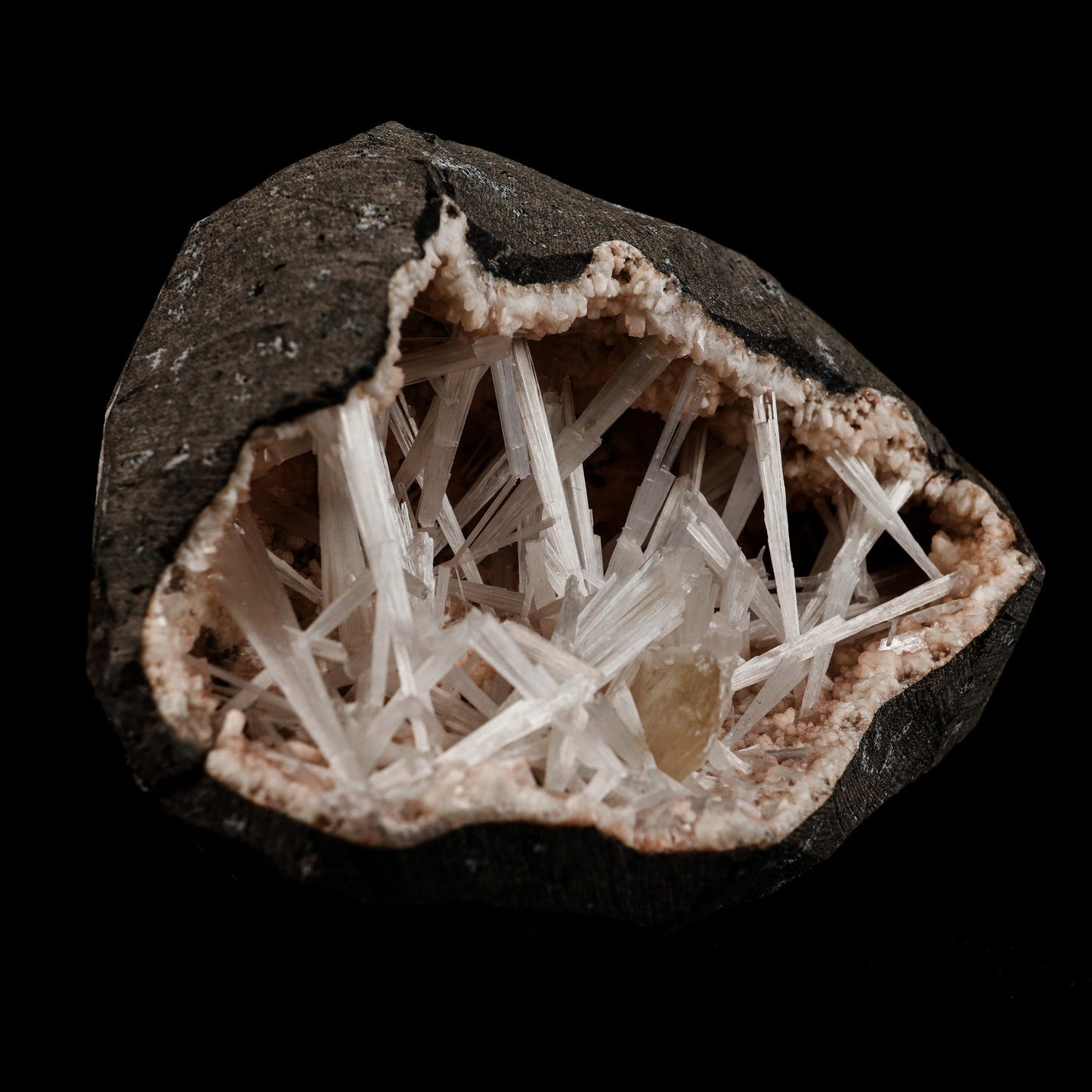 Scolecite Sprays Intergrown Inside Heulandite Geode Natural Mineral Sp… https://www.superbminerals.us/products/scolecite-sprays-intergrown-inside-heulandite-geode-natural-mineral-specimen-b-5108 Features: A lovely item with a geode lined with beige, glossy Heulandite crystals. The crystals have a pearly, almost glassy sheen and are highly defined. This item is glistening. Very good condition. Primary Mineral(s): Scolecite