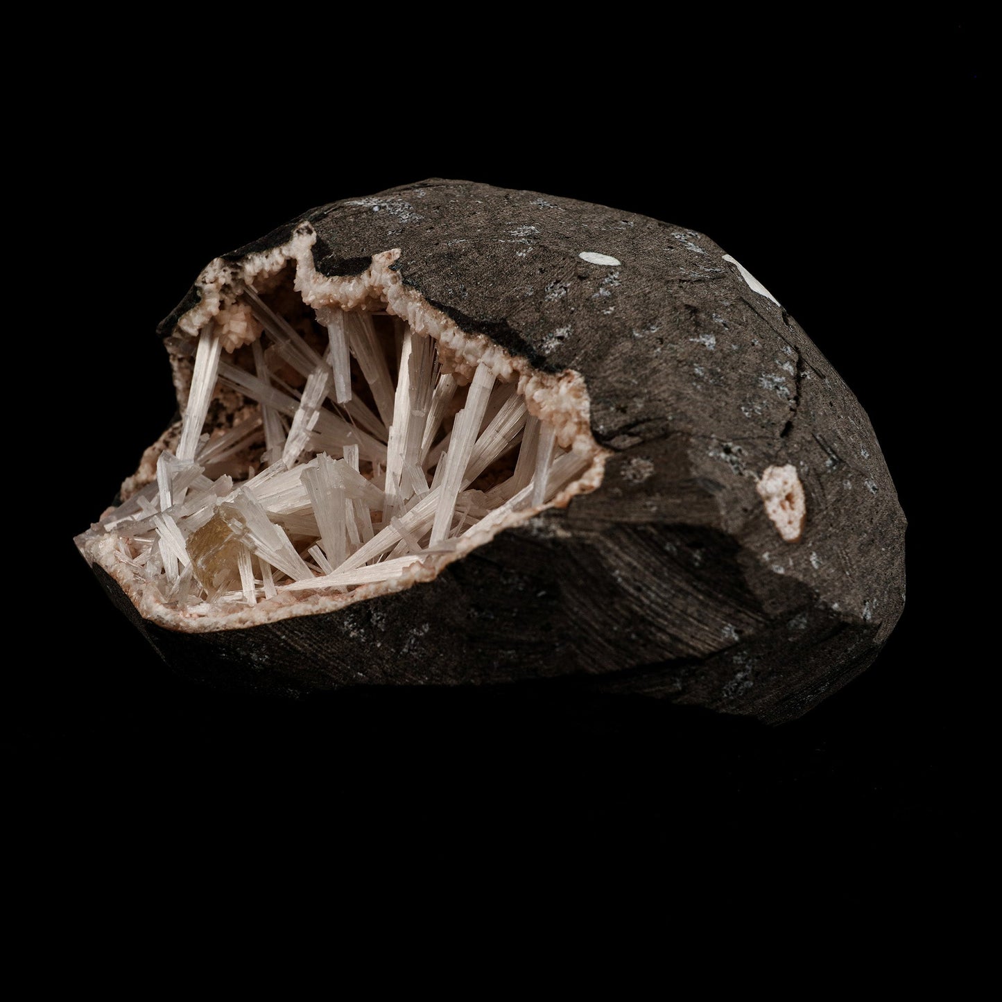 Scolecite Sprays Intergrown Inside Heulandite Geode Natural Mineral Sp… https://www.superbminerals.us/products/scolecite-sprays-intergrown-inside-heulandite-geode-natural-mineral-specimen-b-5108 Features: A lovely item with a geode lined with beige, glossy Heulandite crystals. The crystals have a pearly, almost glassy sheen and are highly defined. This item is glistening. Very good condition. Primary Mineral(s): Scolecite