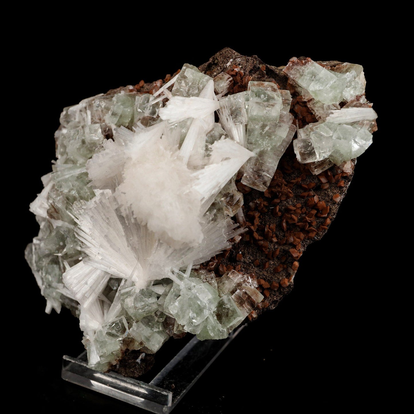 Scolecite Sprays with green Apophyllite cube Natural Mineral Specimen # B 6557 Fluorite Superb Minerals 