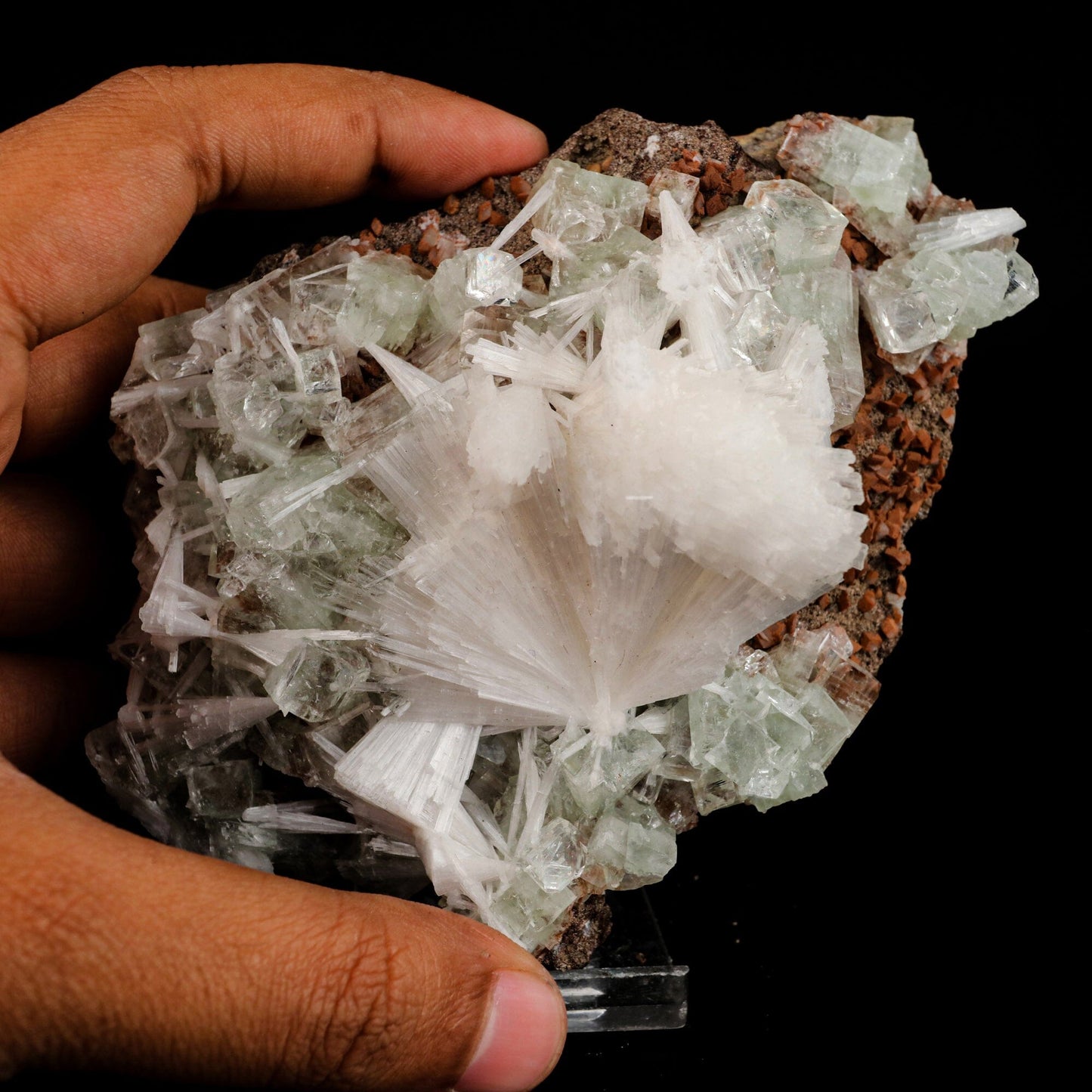 Scolecite Sprays with green Apophyllite cube Natural Mineral Specimen # B 6557 Fluorite Superb Minerals 