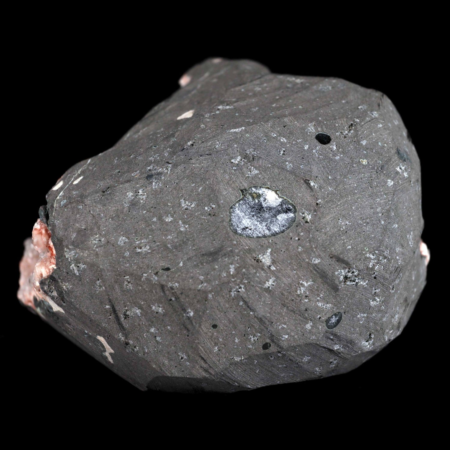 Scolecite Sprays with Stilbite Inside Heulandite Geode Natural Mineral Specimen # B 4541 Scolecite Superb Minerals