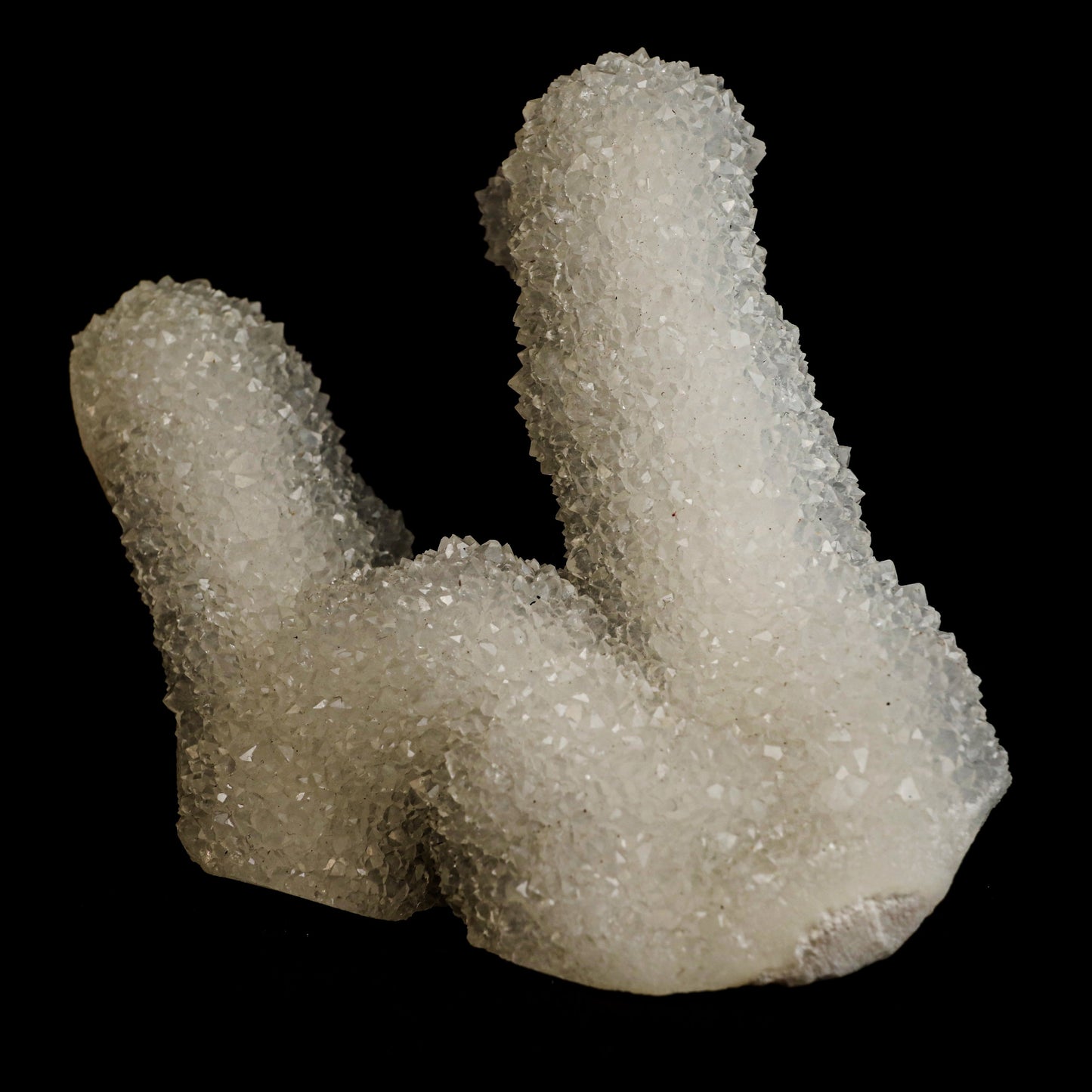 Sparkling MM Quartz Coral Formation Natural Mineral Specimen # B 5024 https://www.superbminerals.us/products/sparkling-mm-quartz-coral-formation-natural-mineral-specimen-b-5024 Features: The specimen is made up of drusy milky Quartz that has pseudomorphed following scalenohedral Calcite crystals.The item is crystallised nearly all the way around, with no matrix and only a few small points of attachment, and is thus on the verge of becoming a complete "floater."